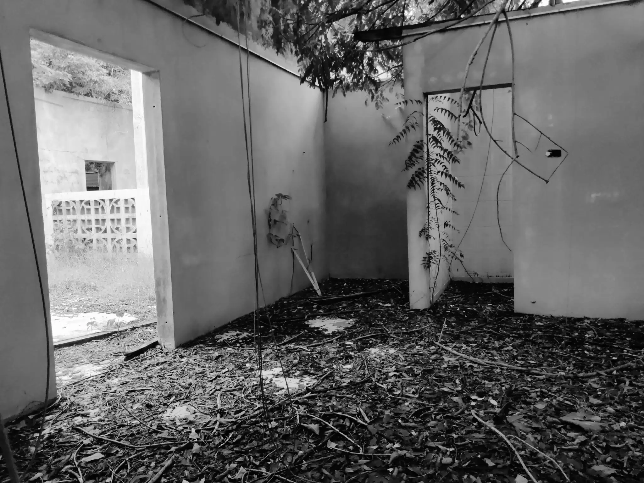 Abandoned House Interior
