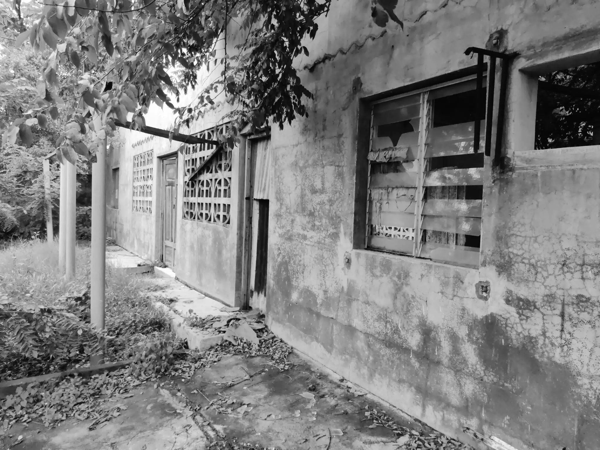 Abandoned House Front