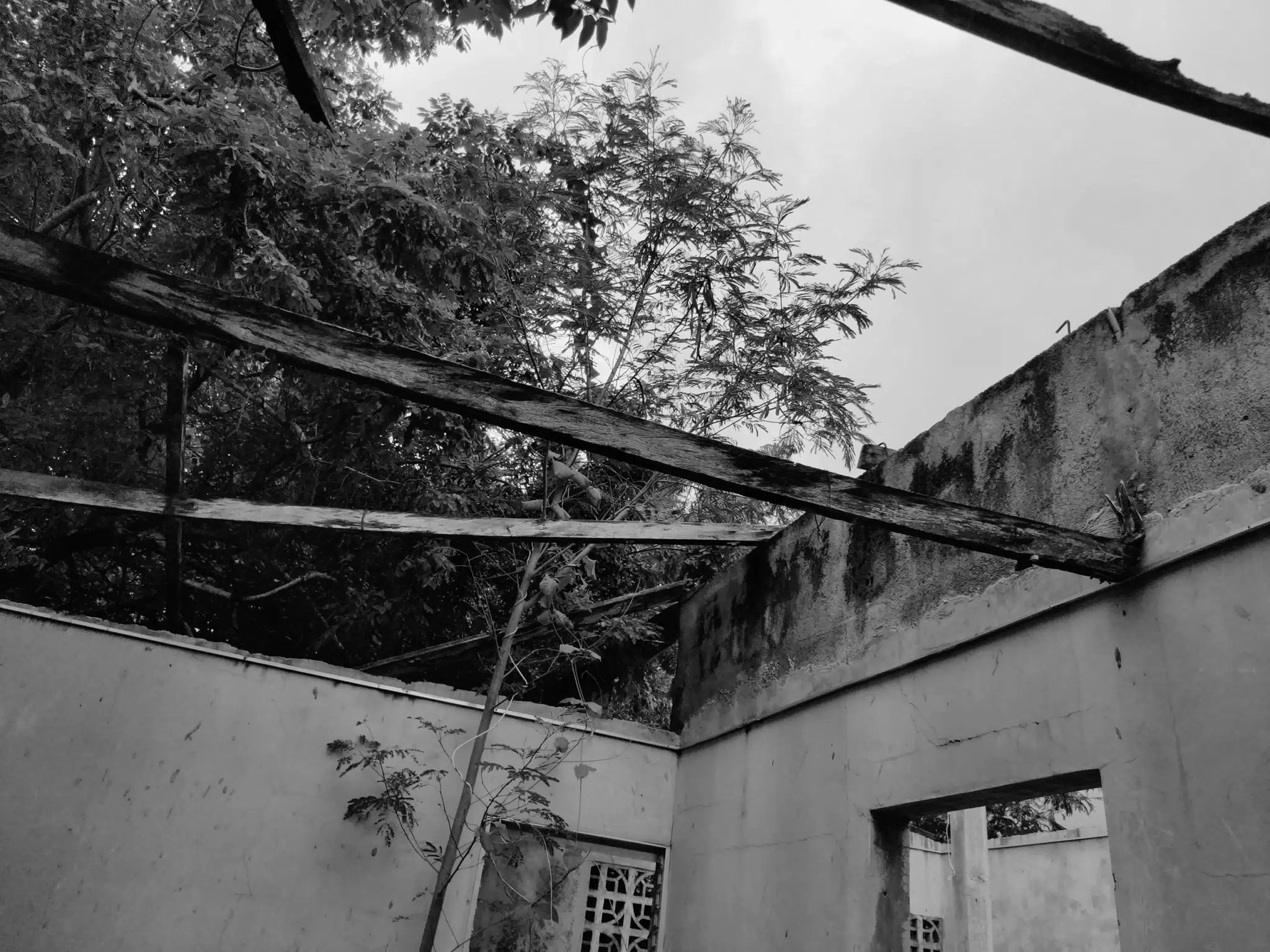 Abandoned House Roof