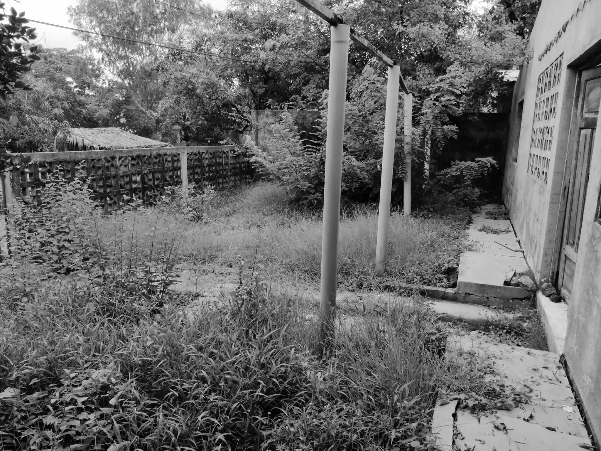 Abandoned House Front Yard