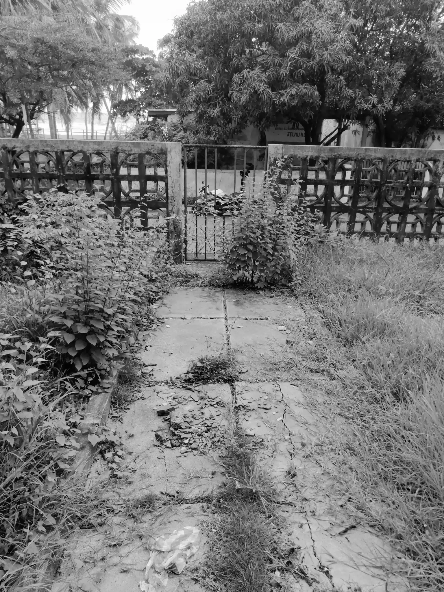 Abandoned House Walkway