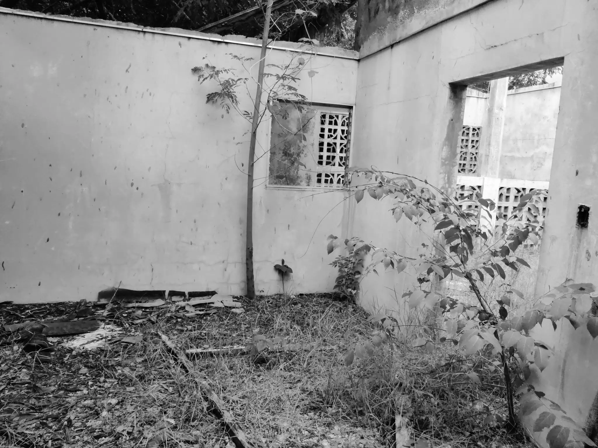 Abandoned House Room