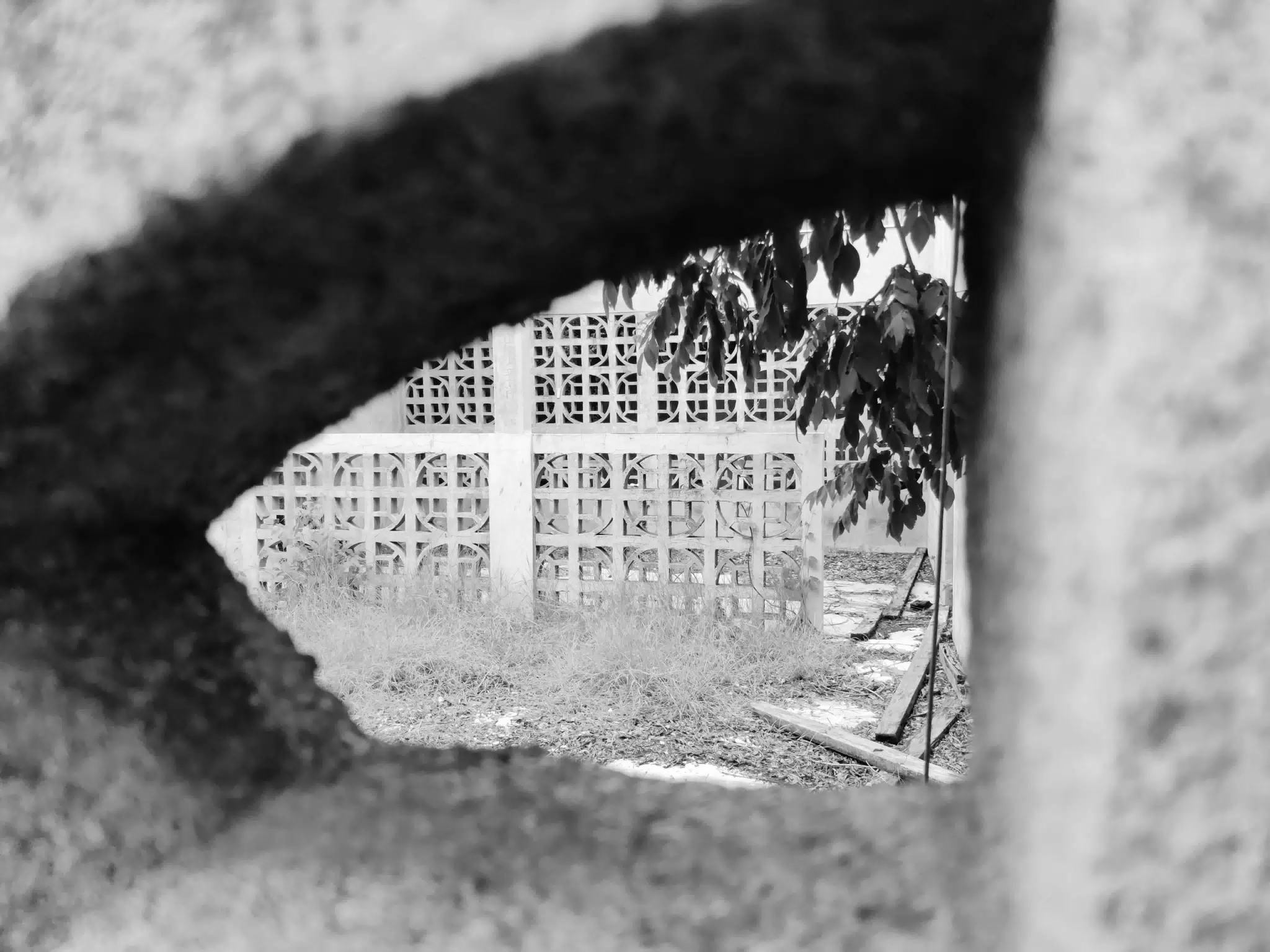 Abandoned House View Through Breezestone