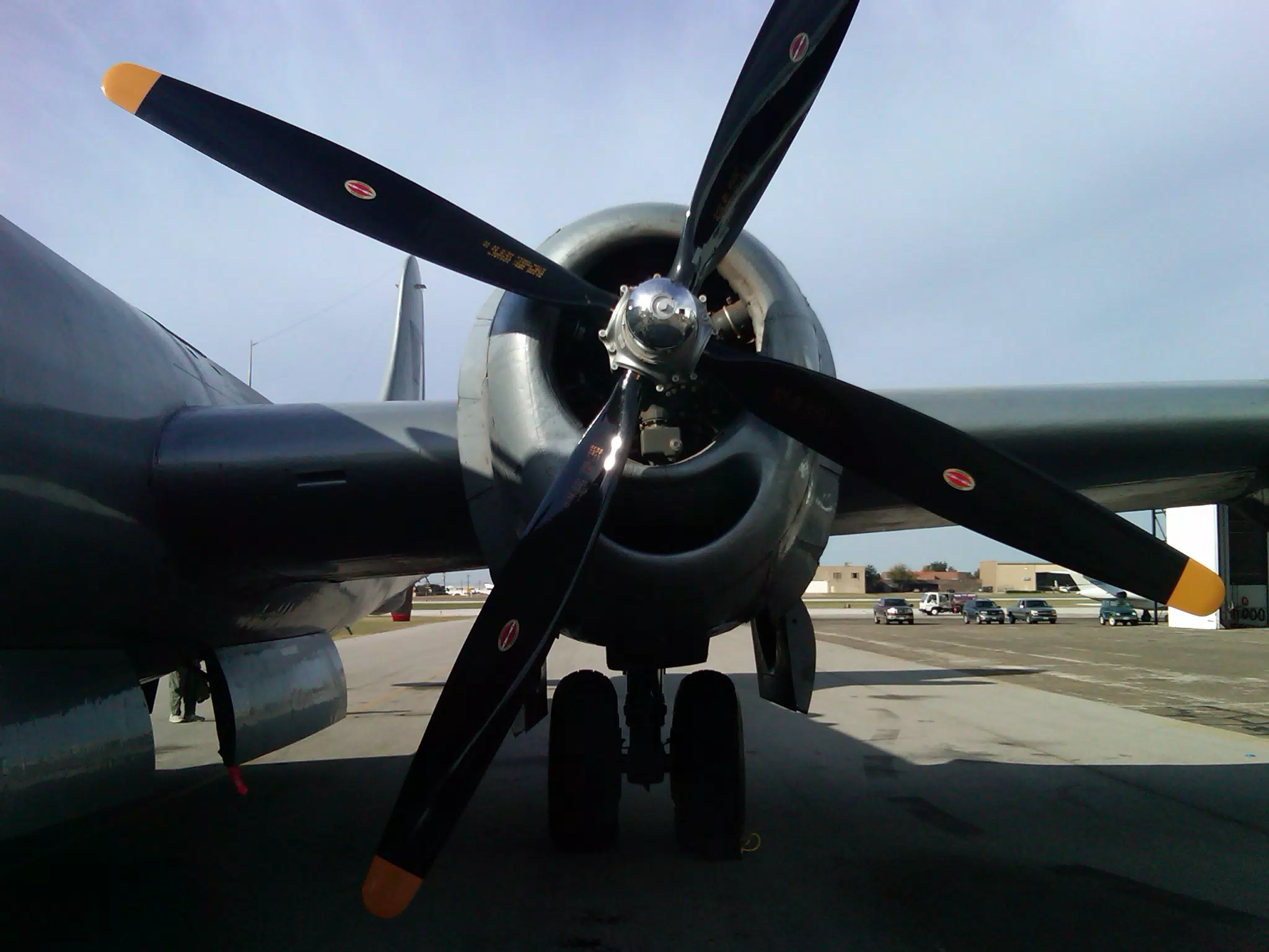 Fifi - prop
