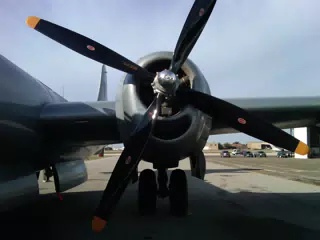 Fifi - prop