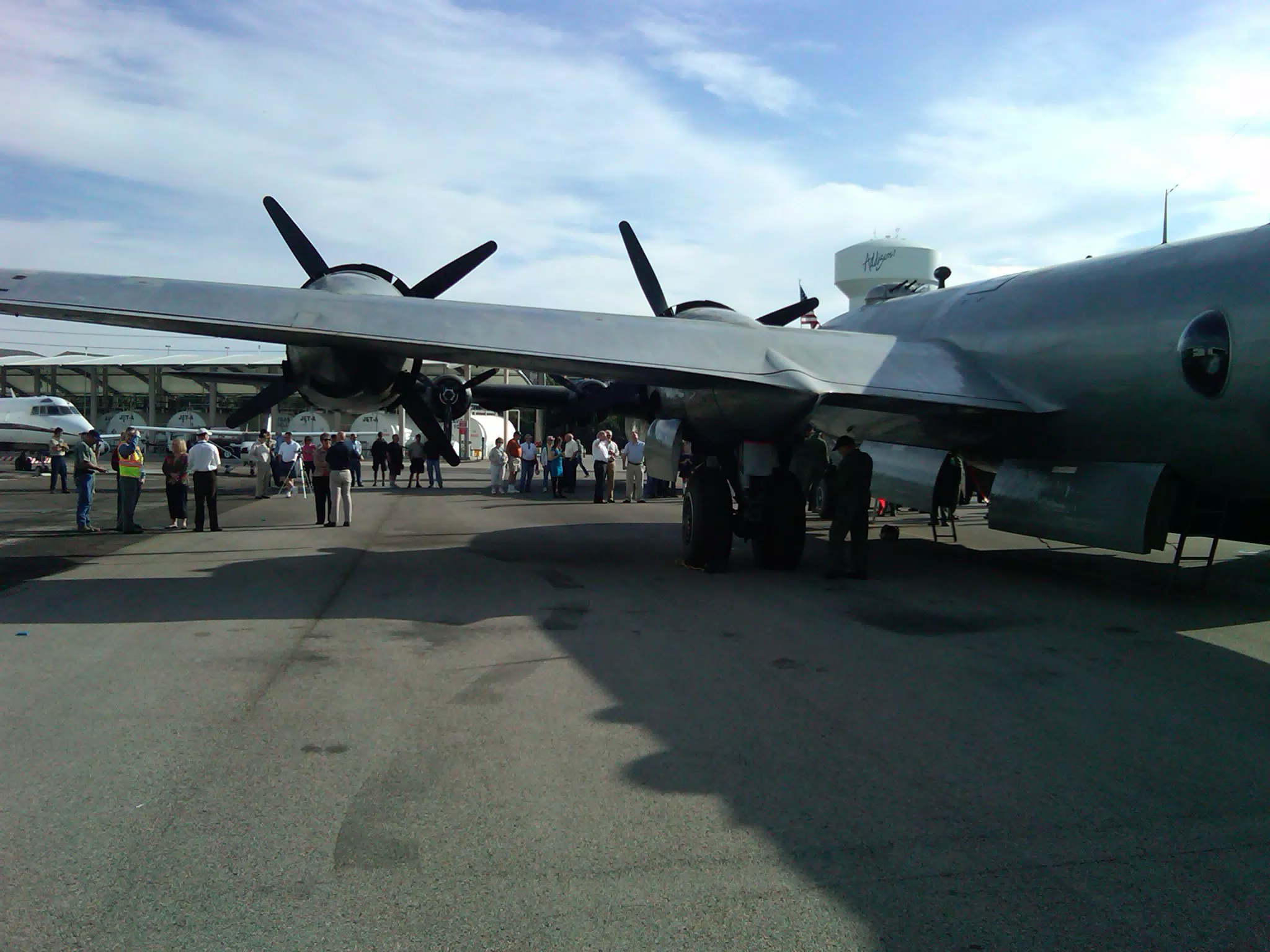 Fifi - wing from rear