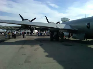 Fifi - wing from rear