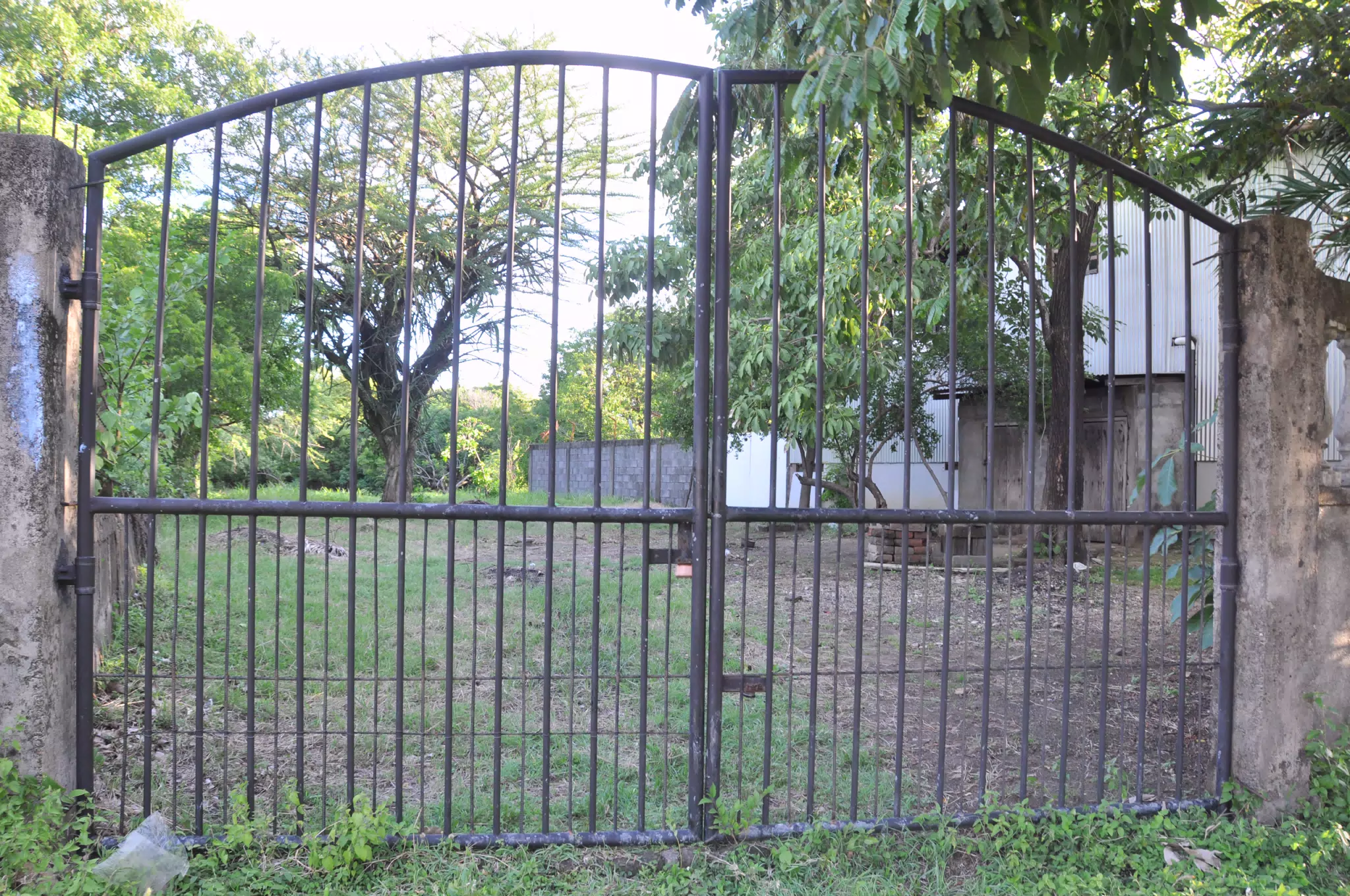 Las Penitas Photowalk Aug 9 2021