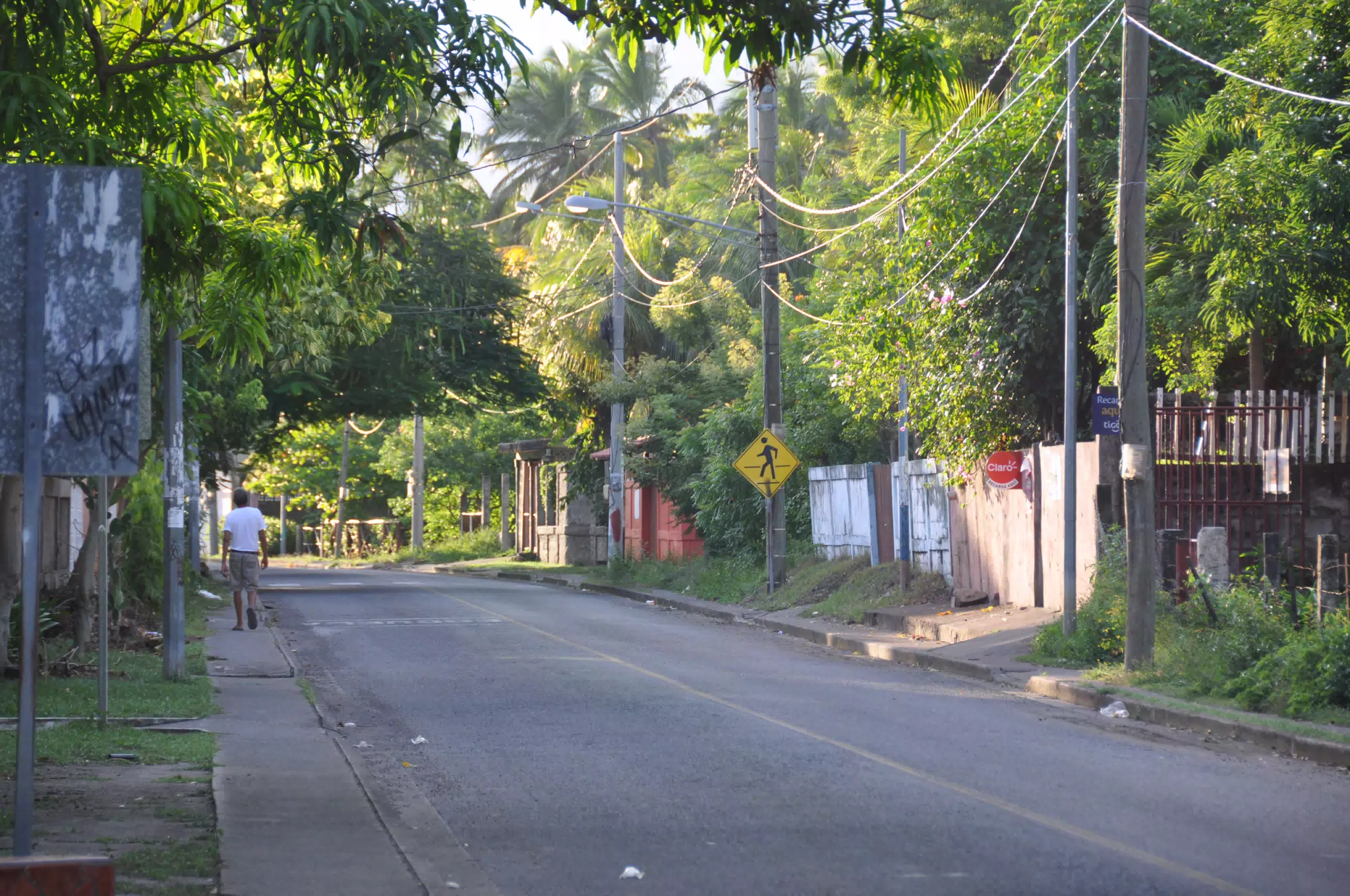 Las Penitas Photowalk Aug 9 2021