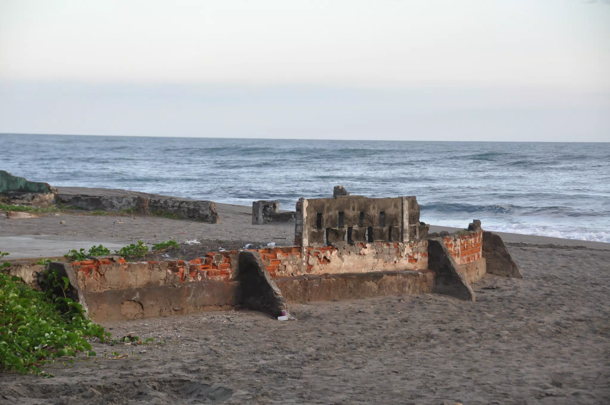 Las Penitas Photowalk Aug 9 2021