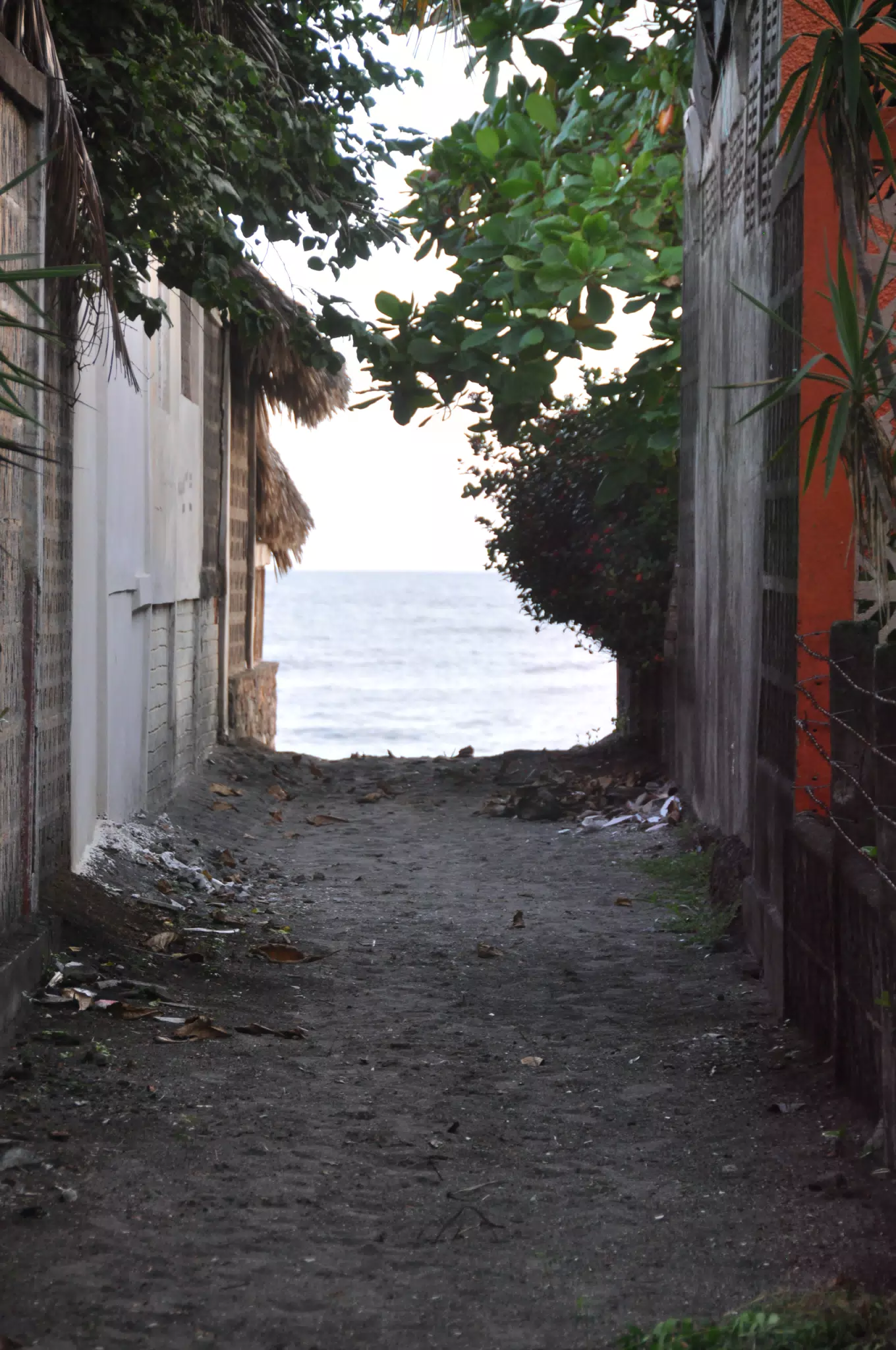 Las Penitas Photowalk Aug 9 2021