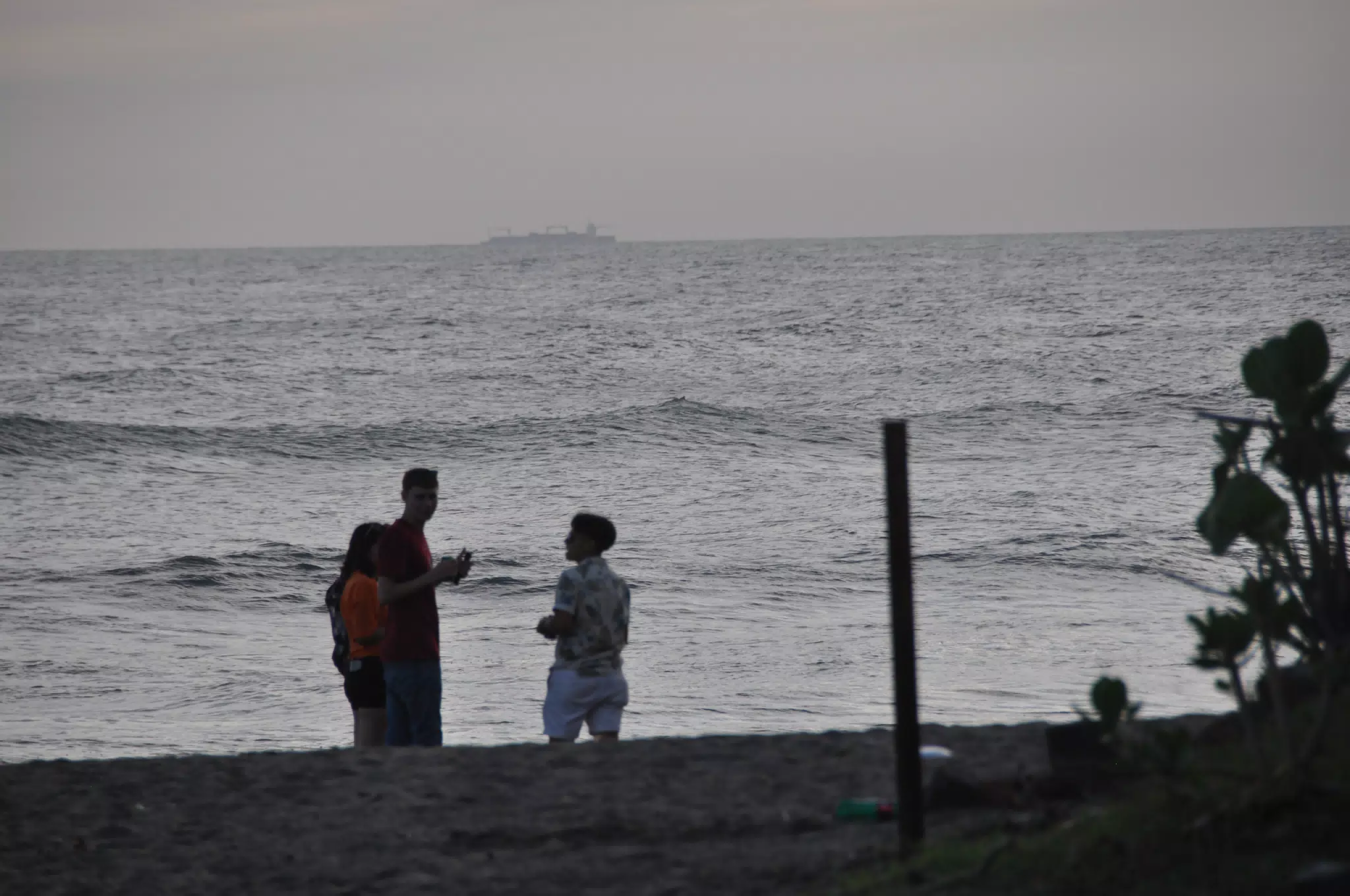 Las Penitas Photowalk Aug 9 2021