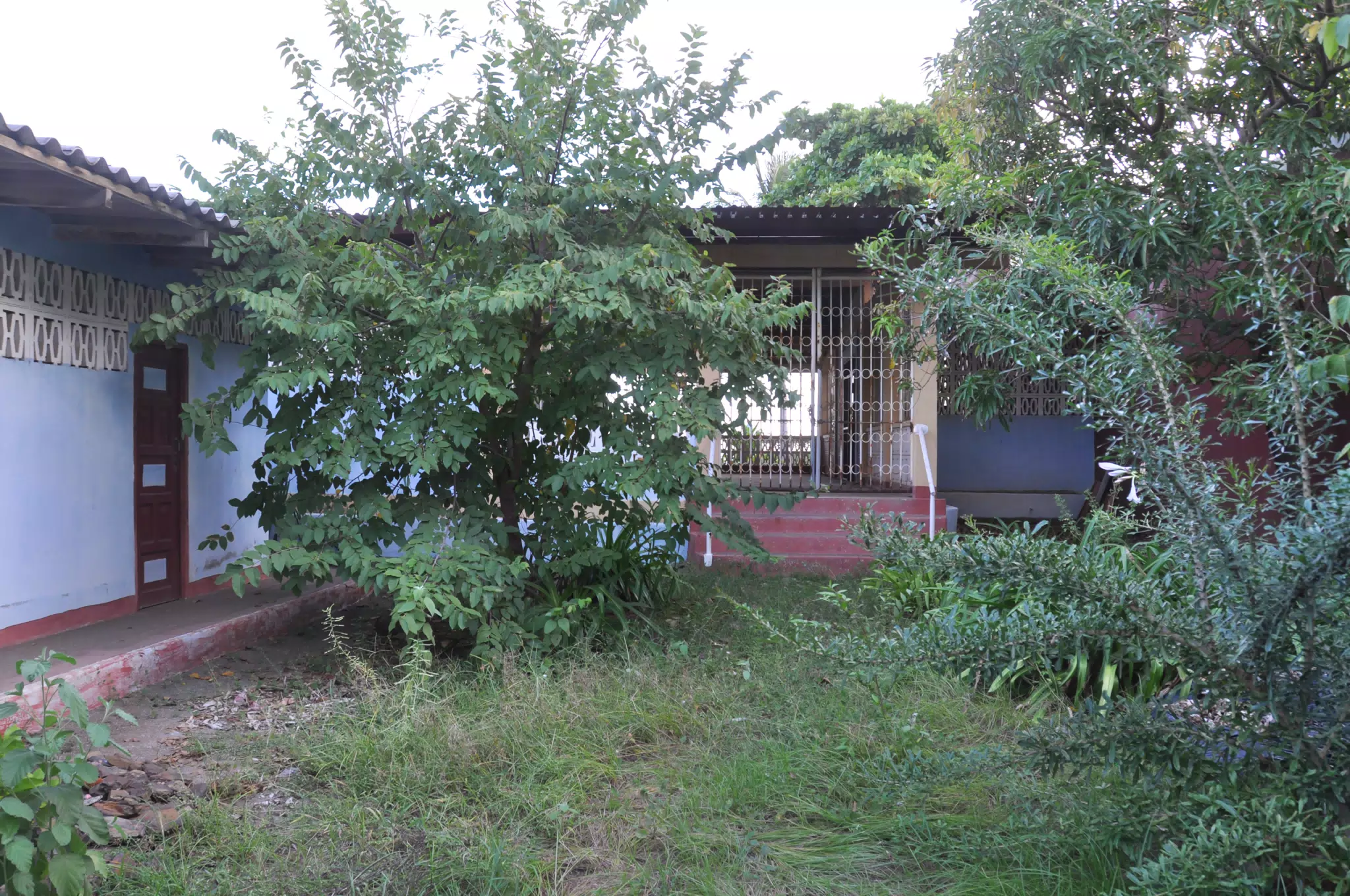 Las Penitas Photowalk Aug 9 2021