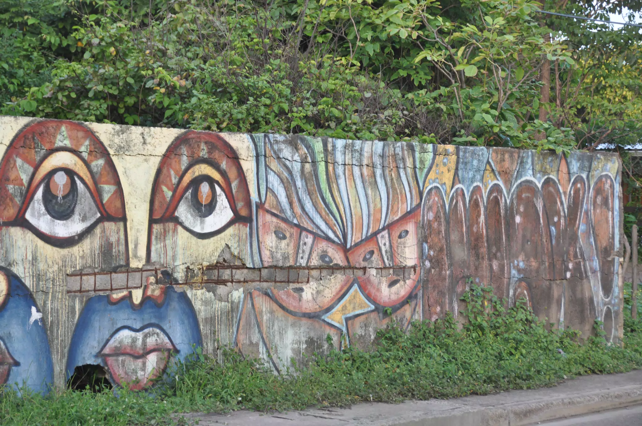 Las Penitas Photowalk Aug 9 2021