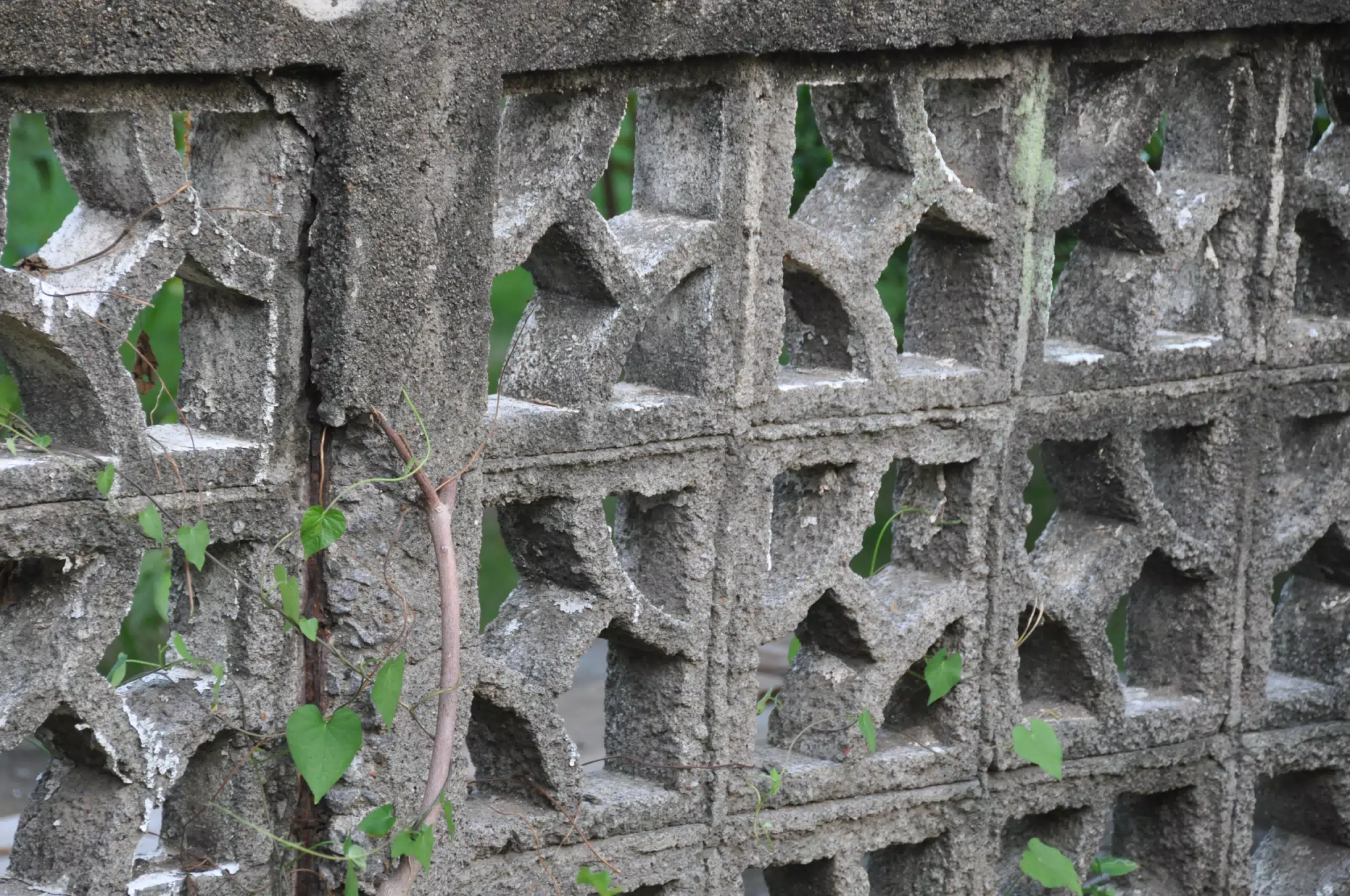 Concrete Wall Pattern - Las Penitas Photowalk Aug 9 2021