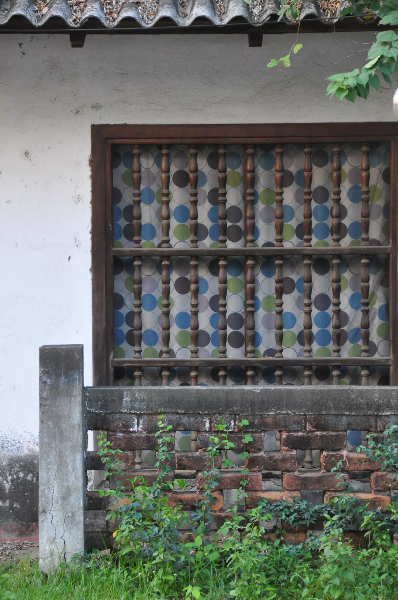 Las Penitas Photowalk Aug 9 2021