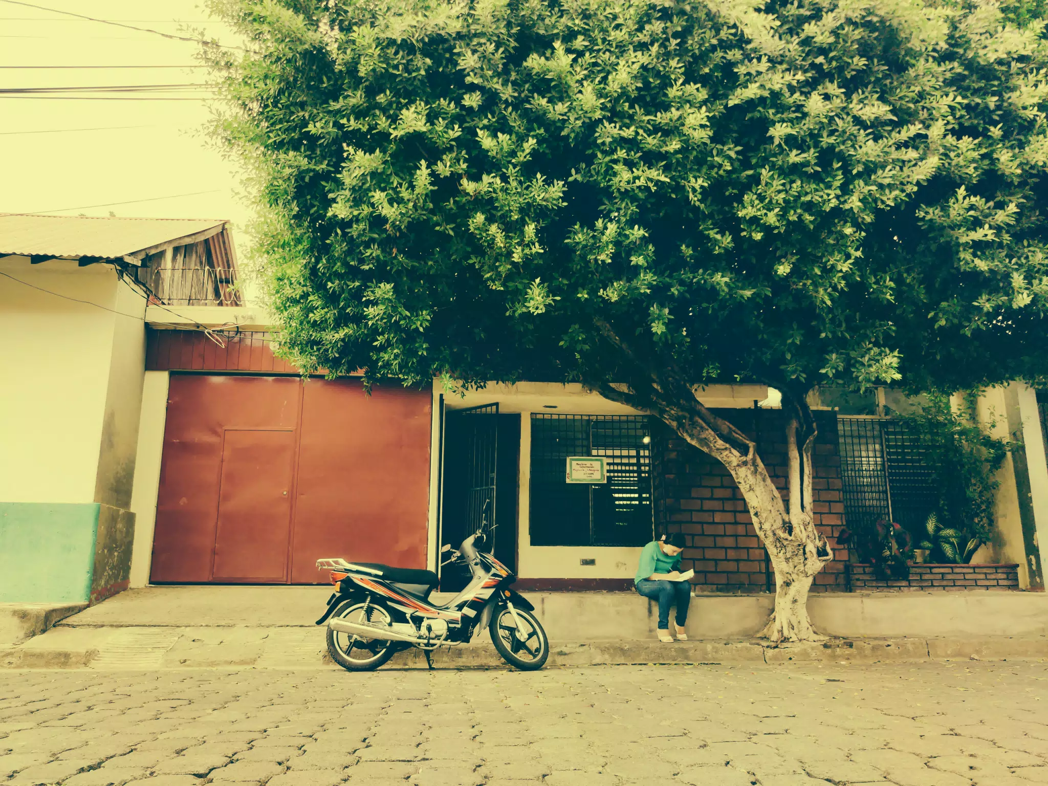 Tree and Paperwork