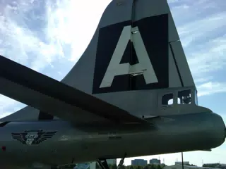 Fifi rudder
