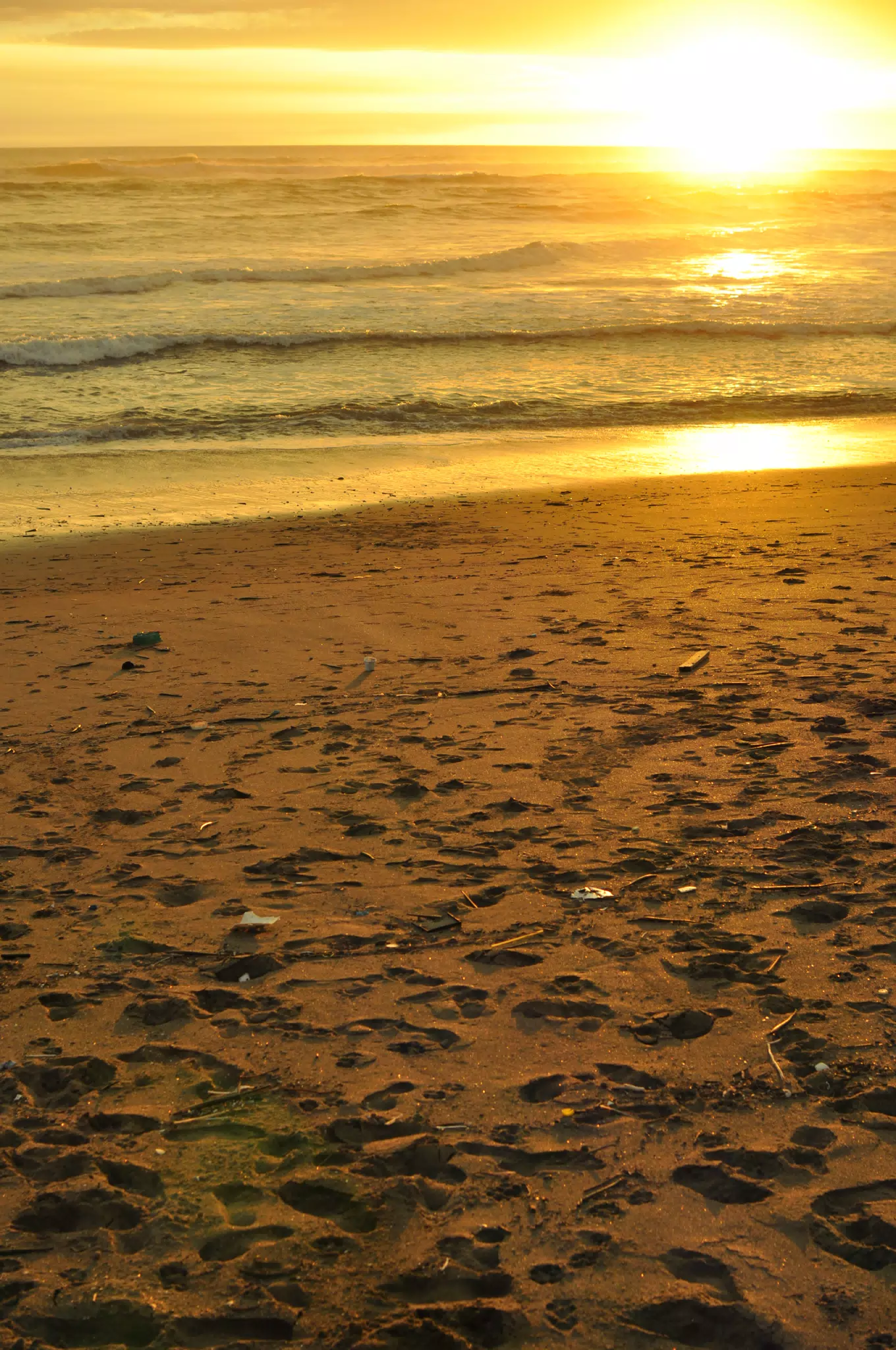 Las Penitas Sunset