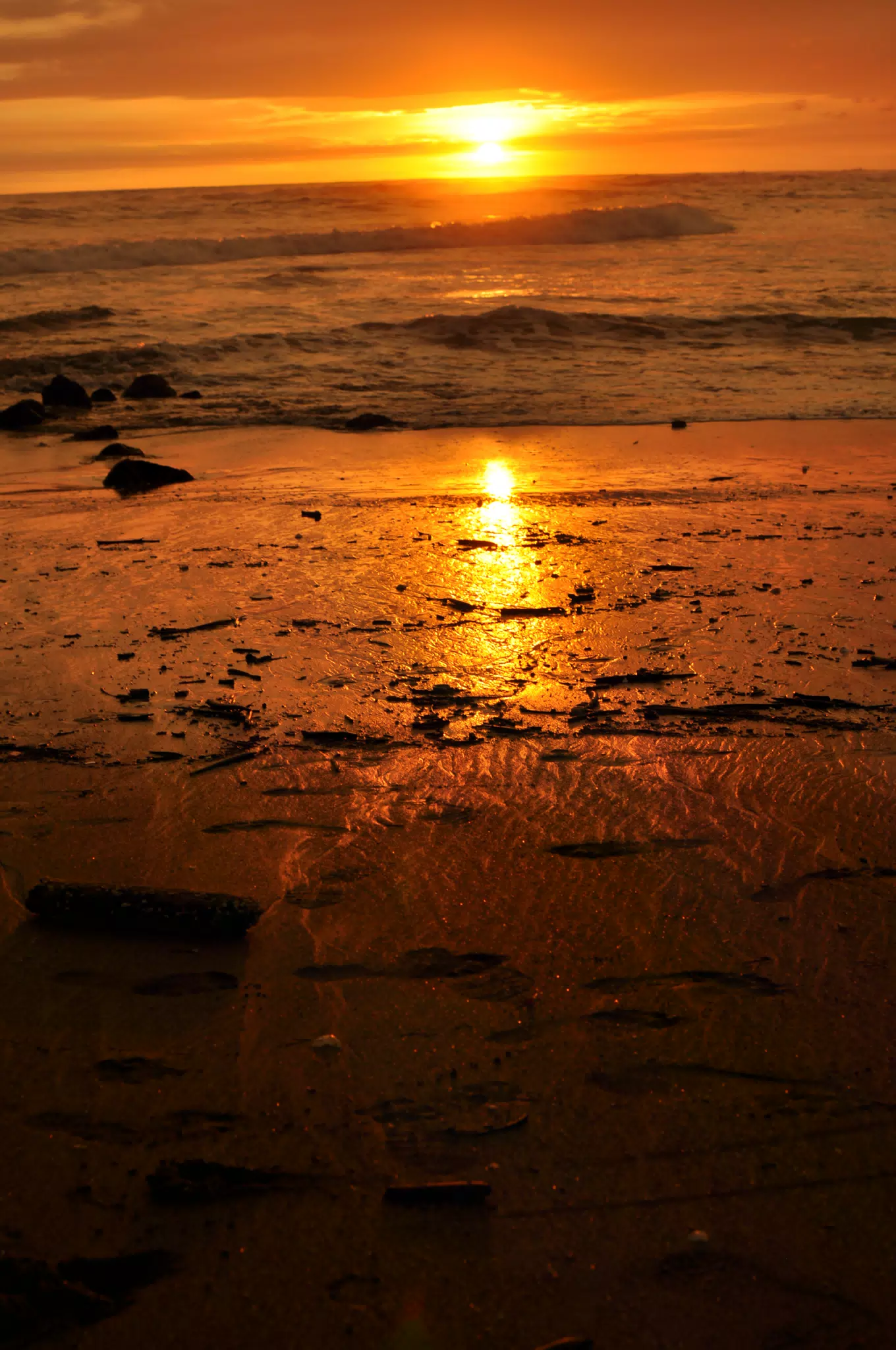 Las Penitas Sunset