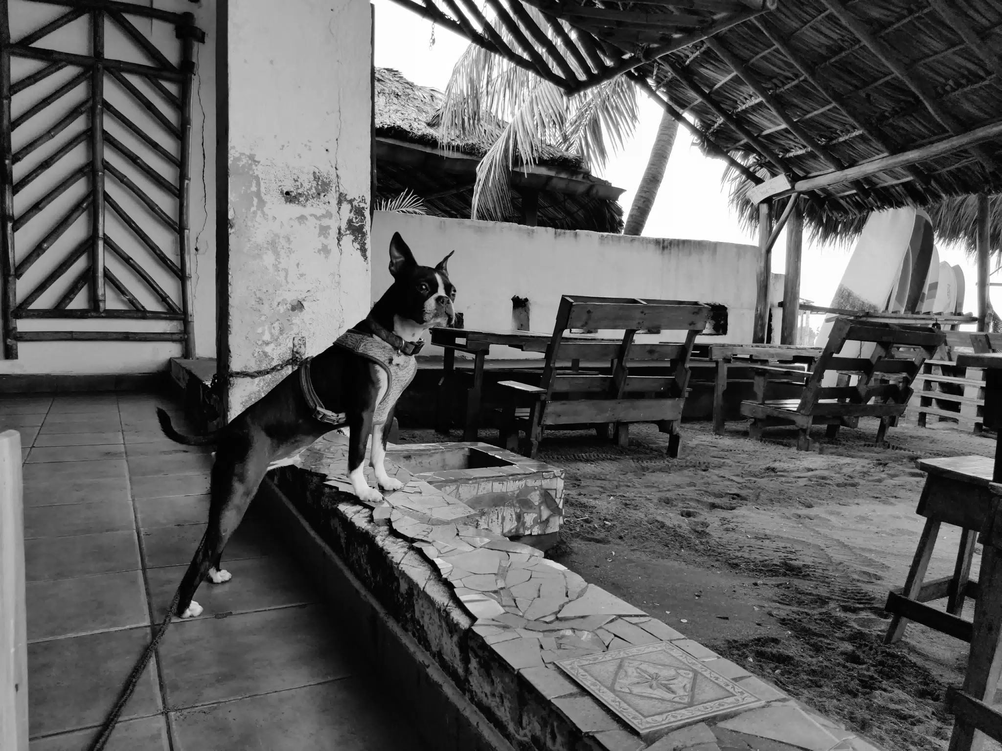 Clive Guarding the Hotel