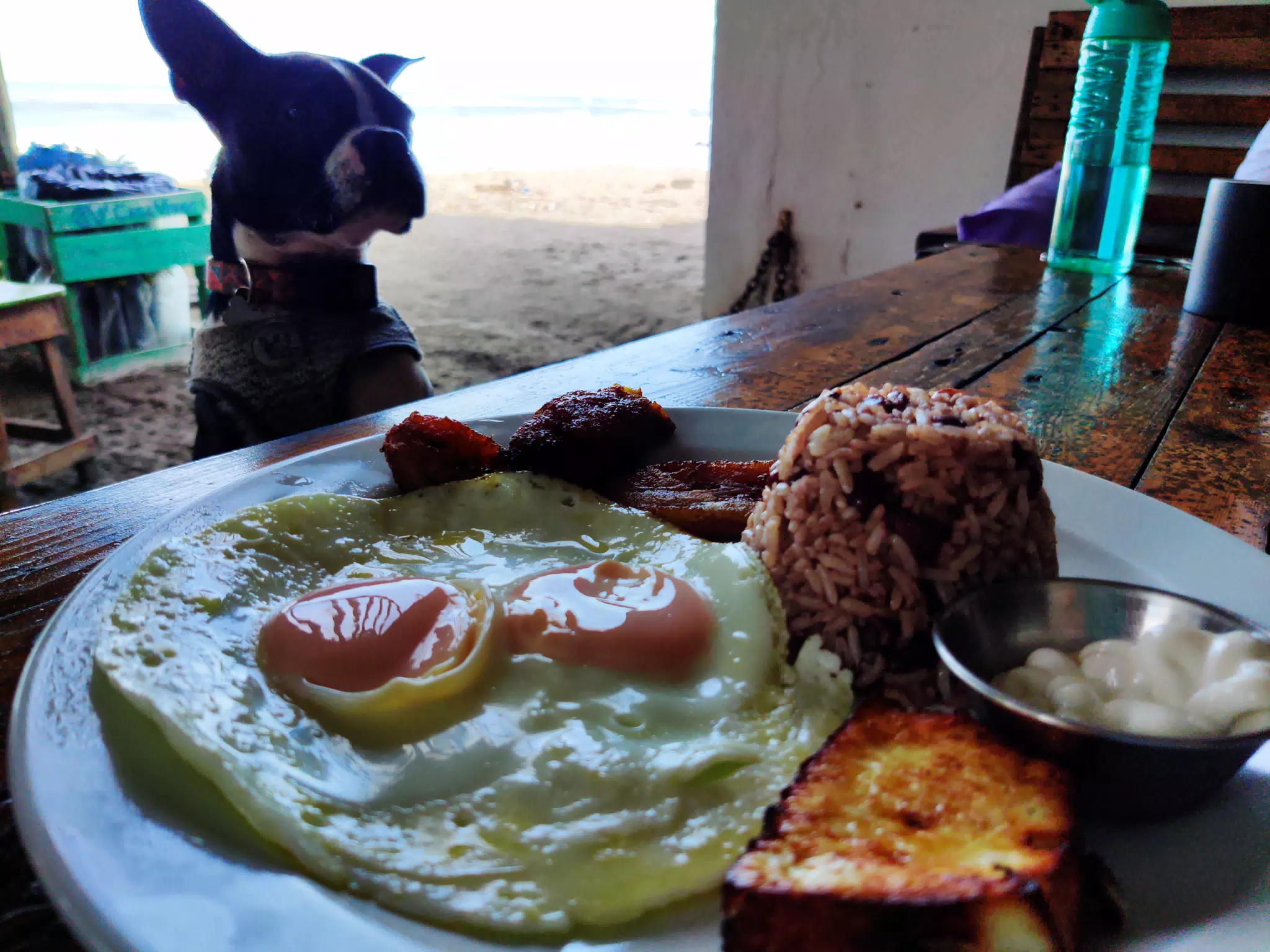 Breakfast Inspector
