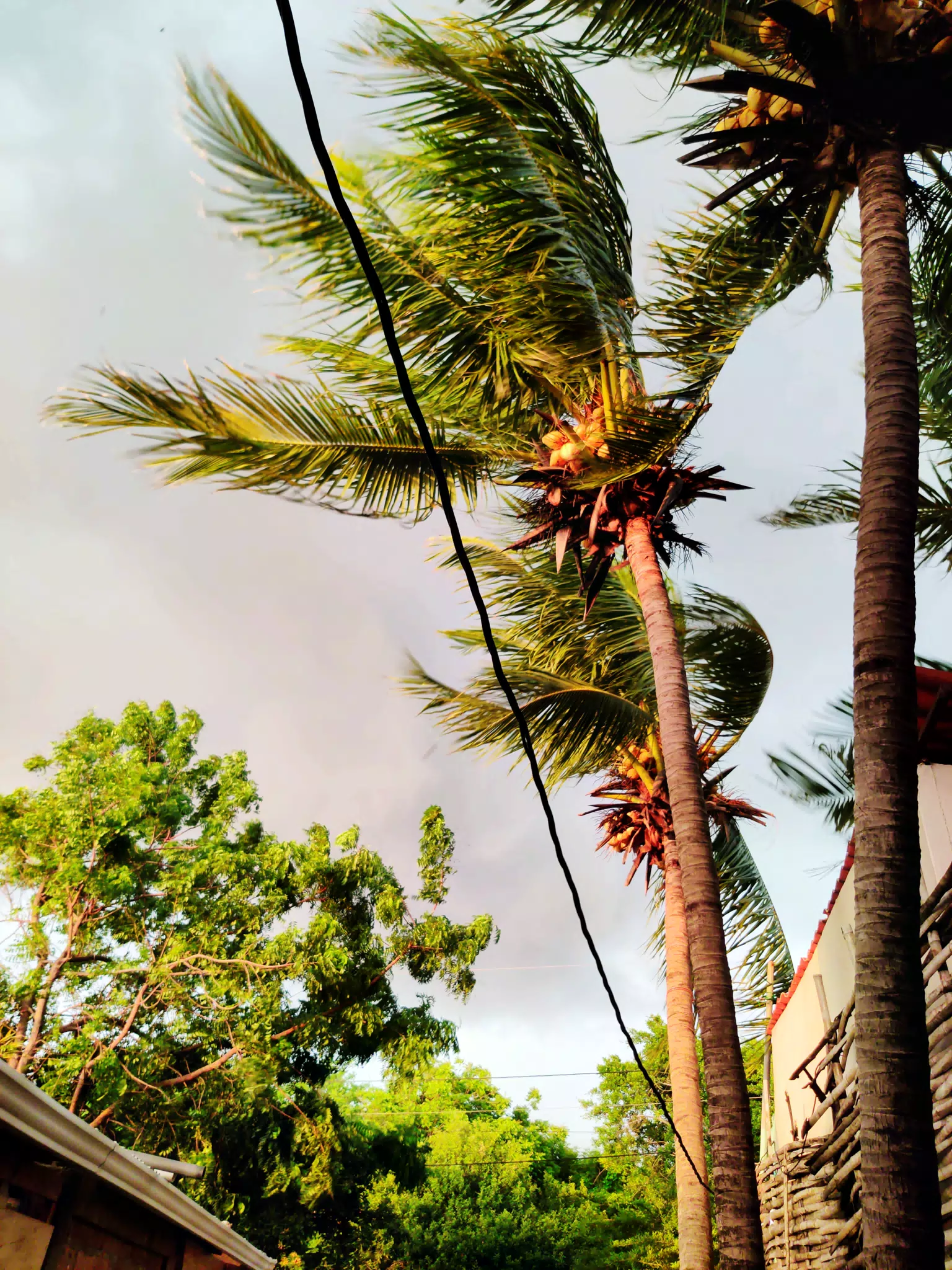 Storm Arriving