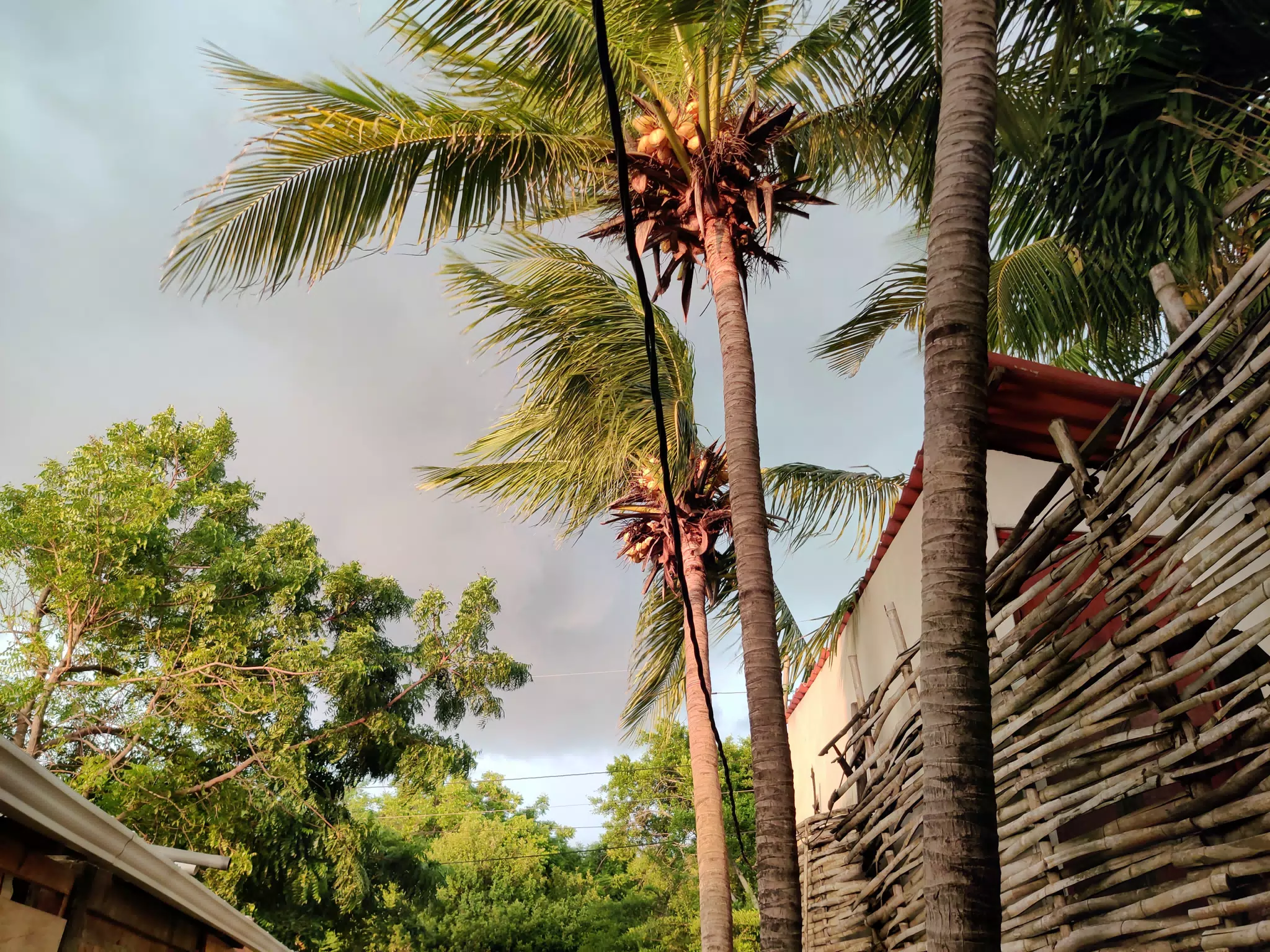 Storm Arriving