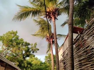 Storm Arriving