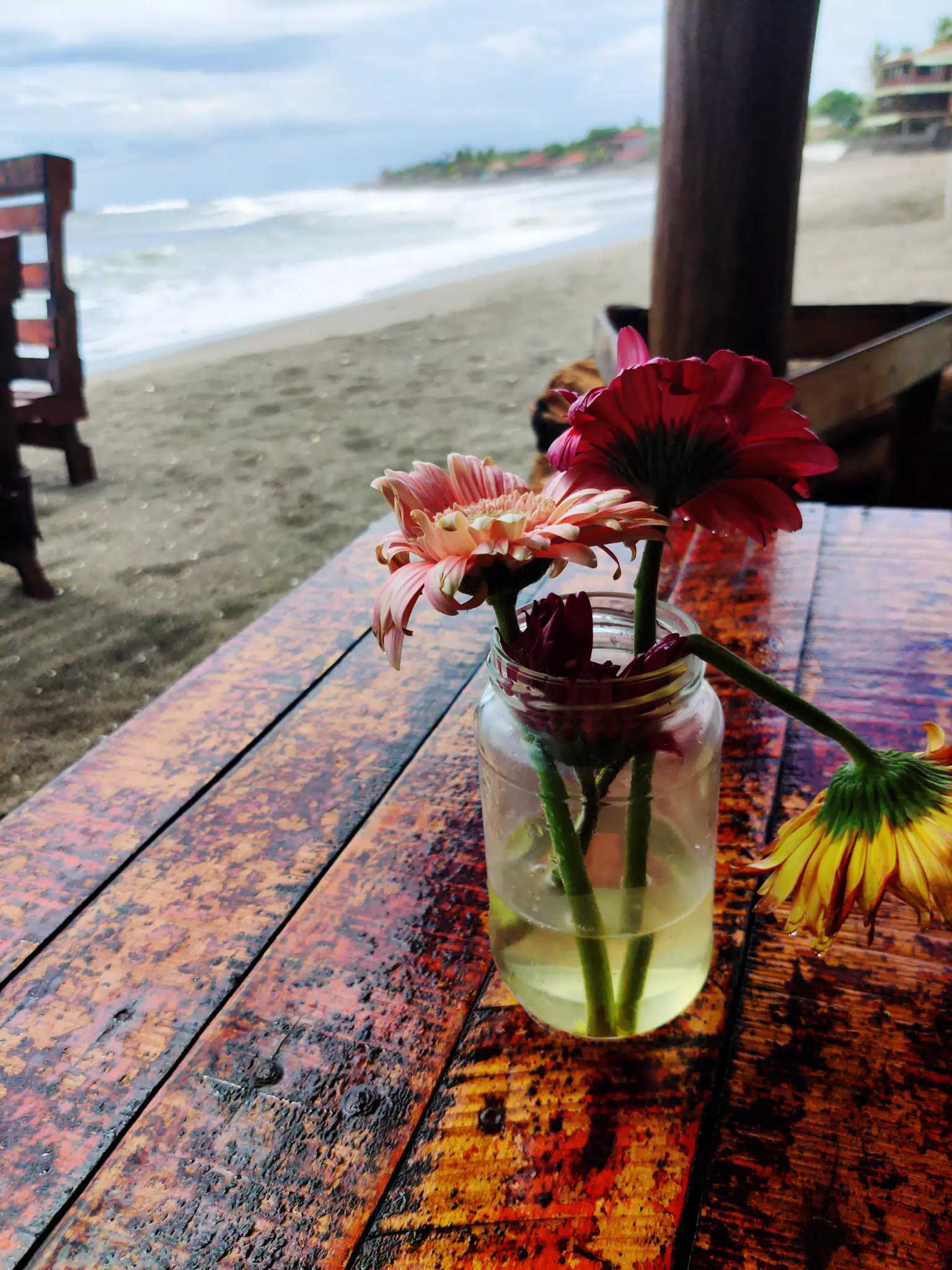 Flowers at the Simple Beach Lodge