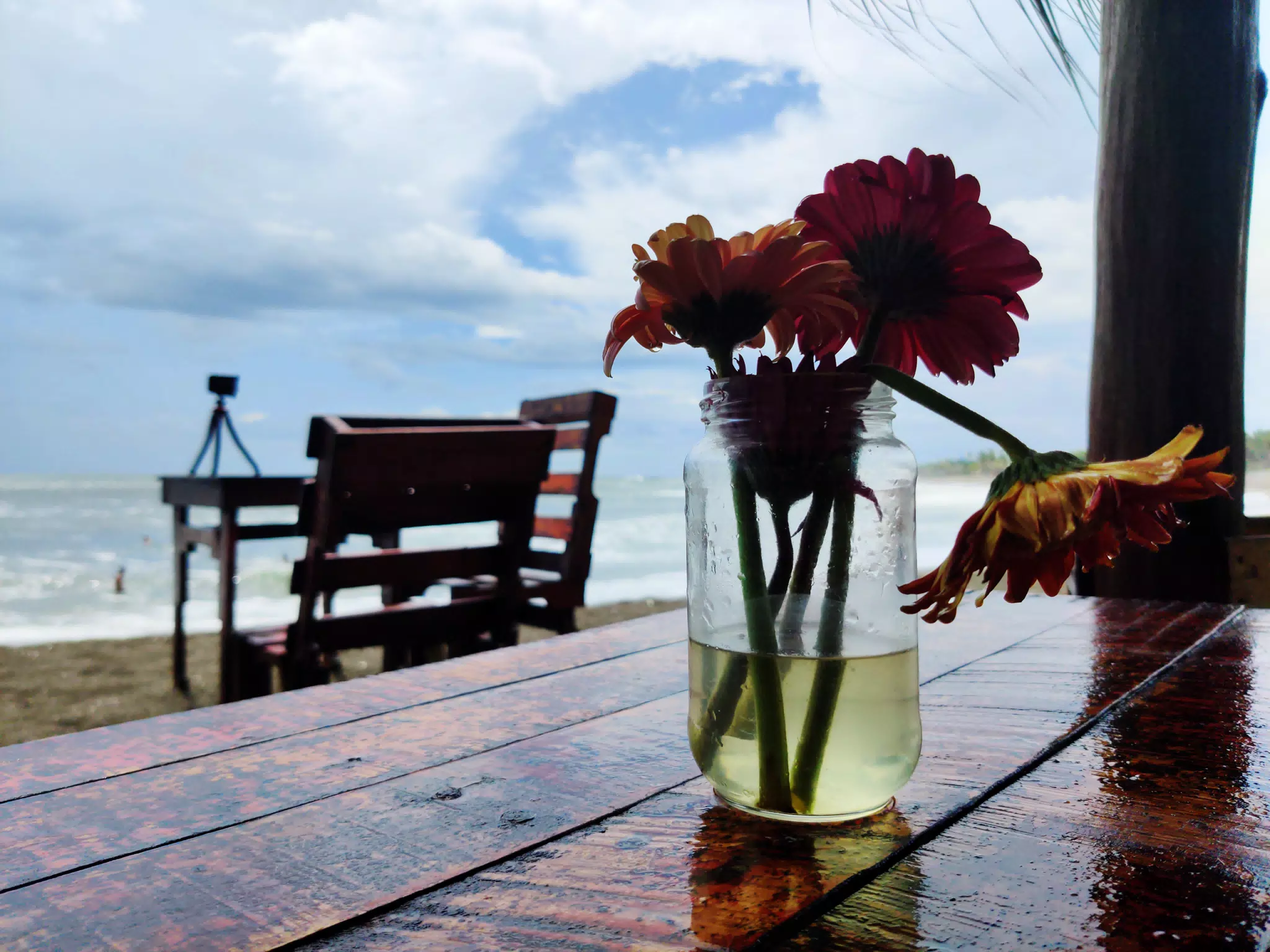 Simple Flowers on the Beach