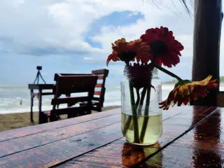 Simple Flowers on the Beach