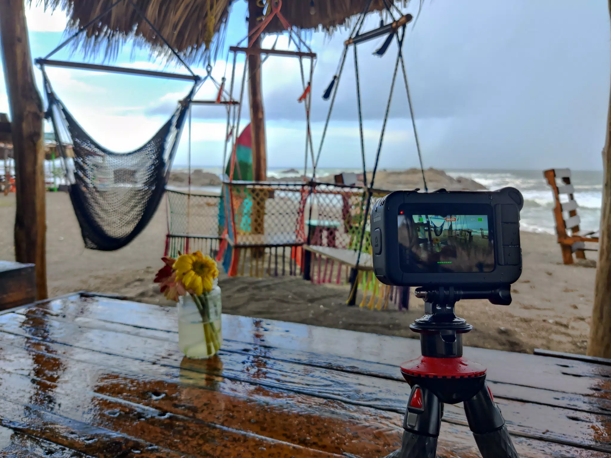 Filming Flowers in the Rain