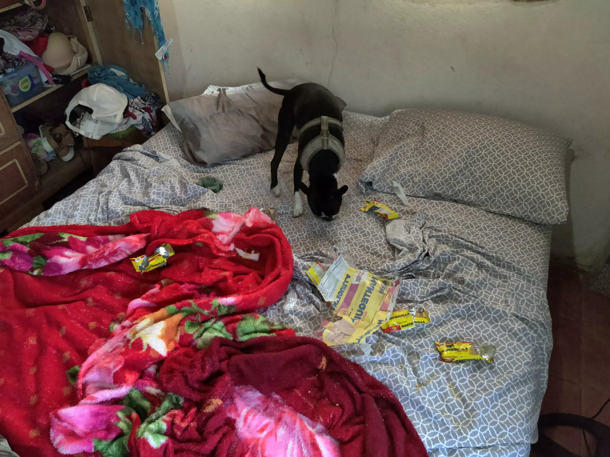 Clive and His Cookie Wrappers