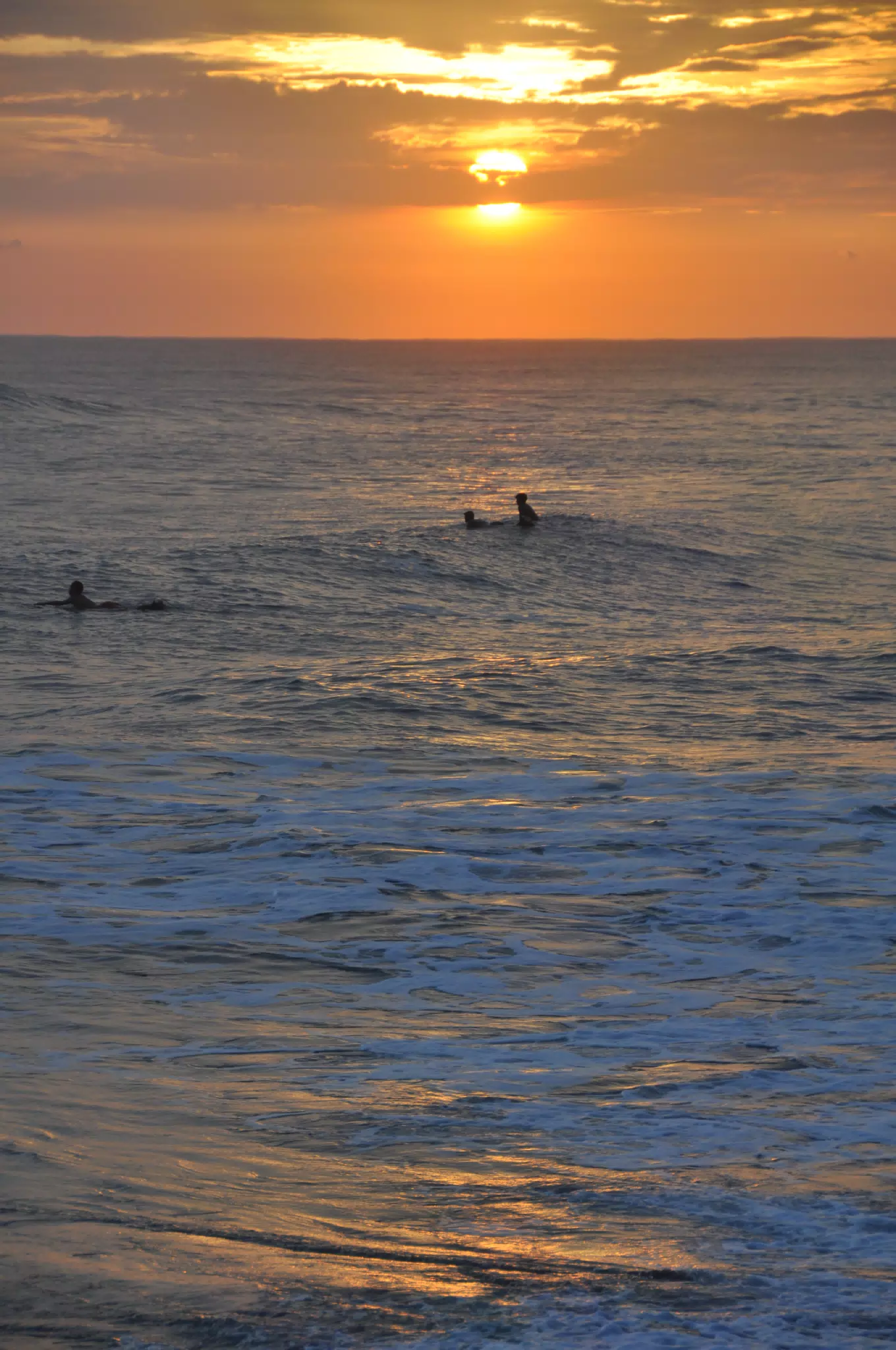 DSC_0905