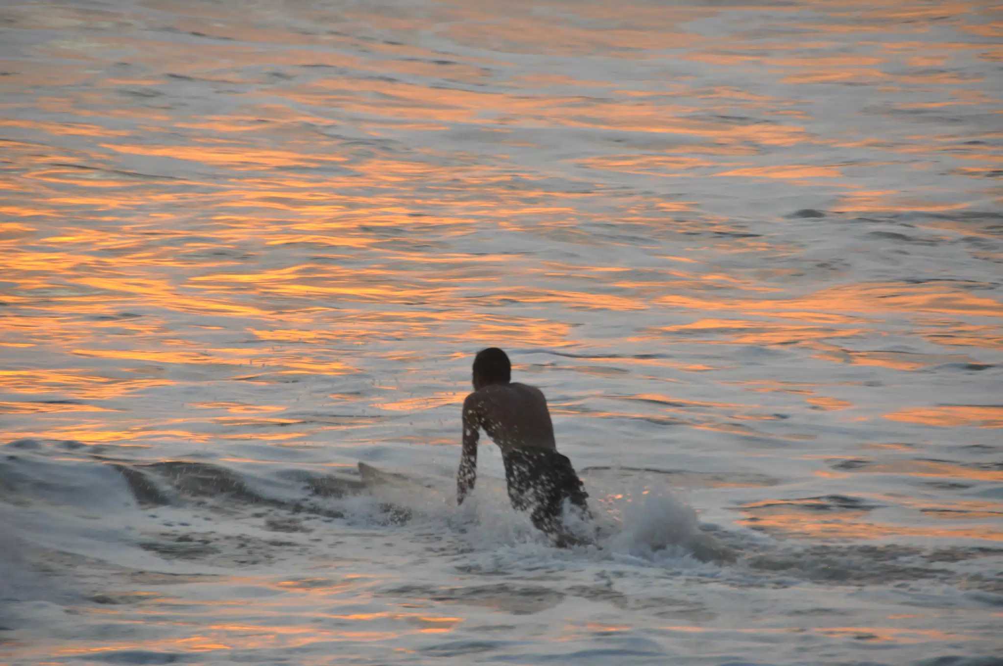 DSC_0941