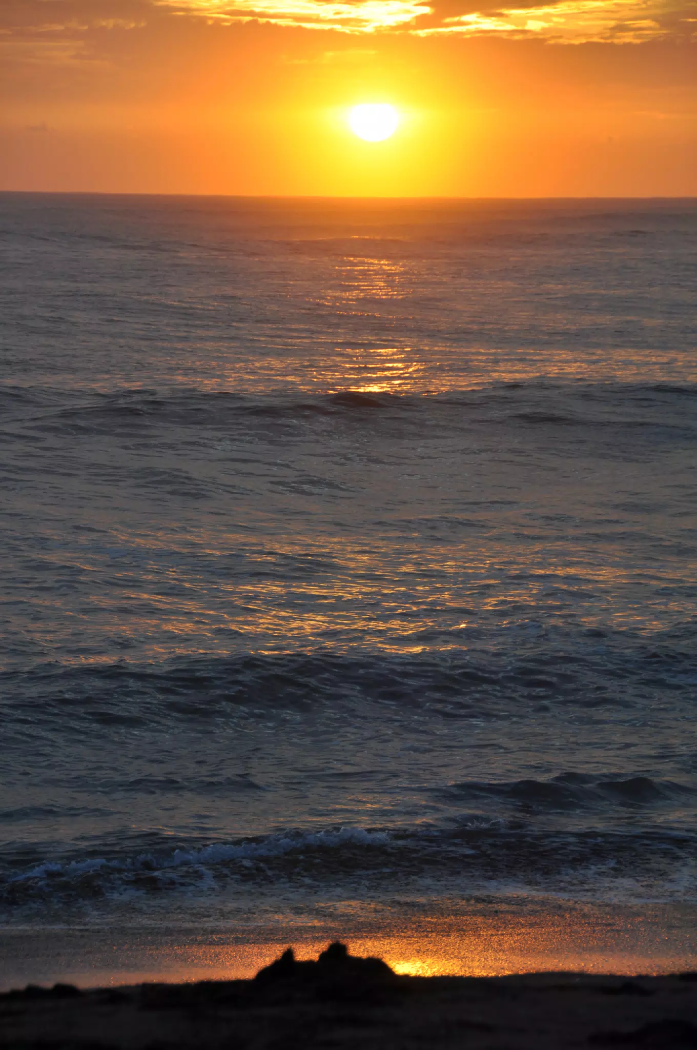 DSC_0919