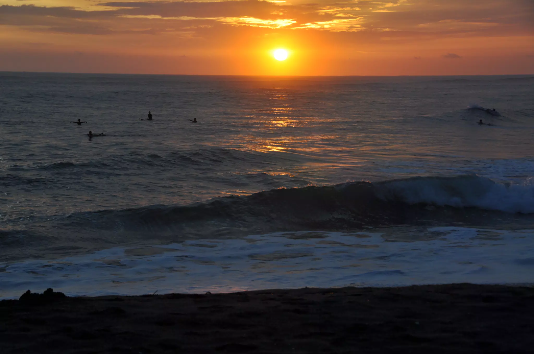 DSC_0921