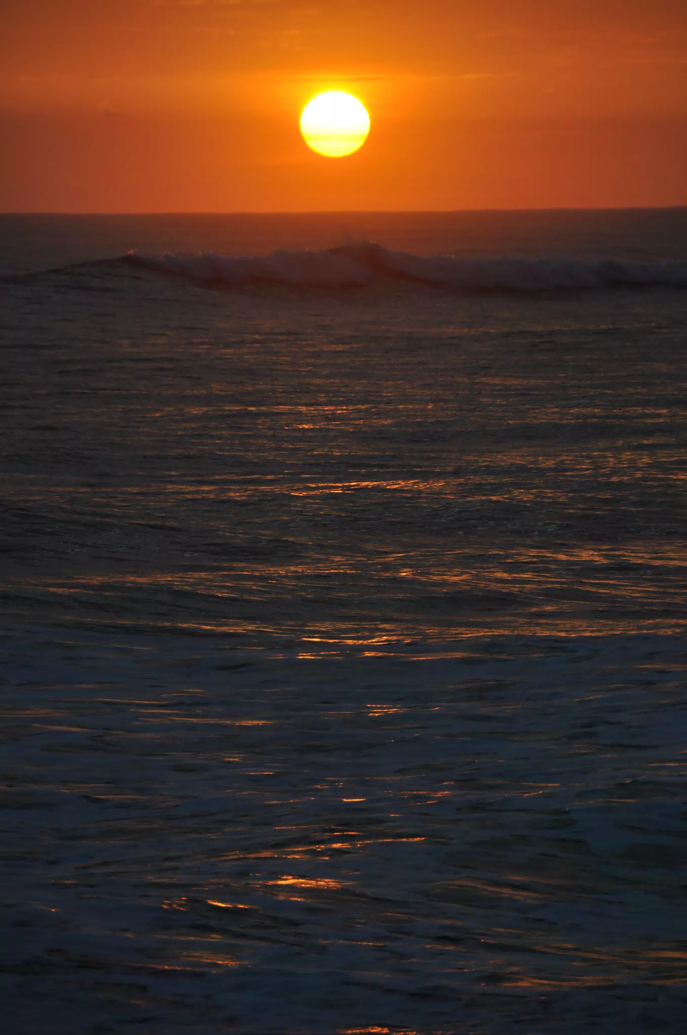 DSC_0928