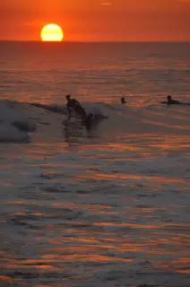 Surfing at Sunset
