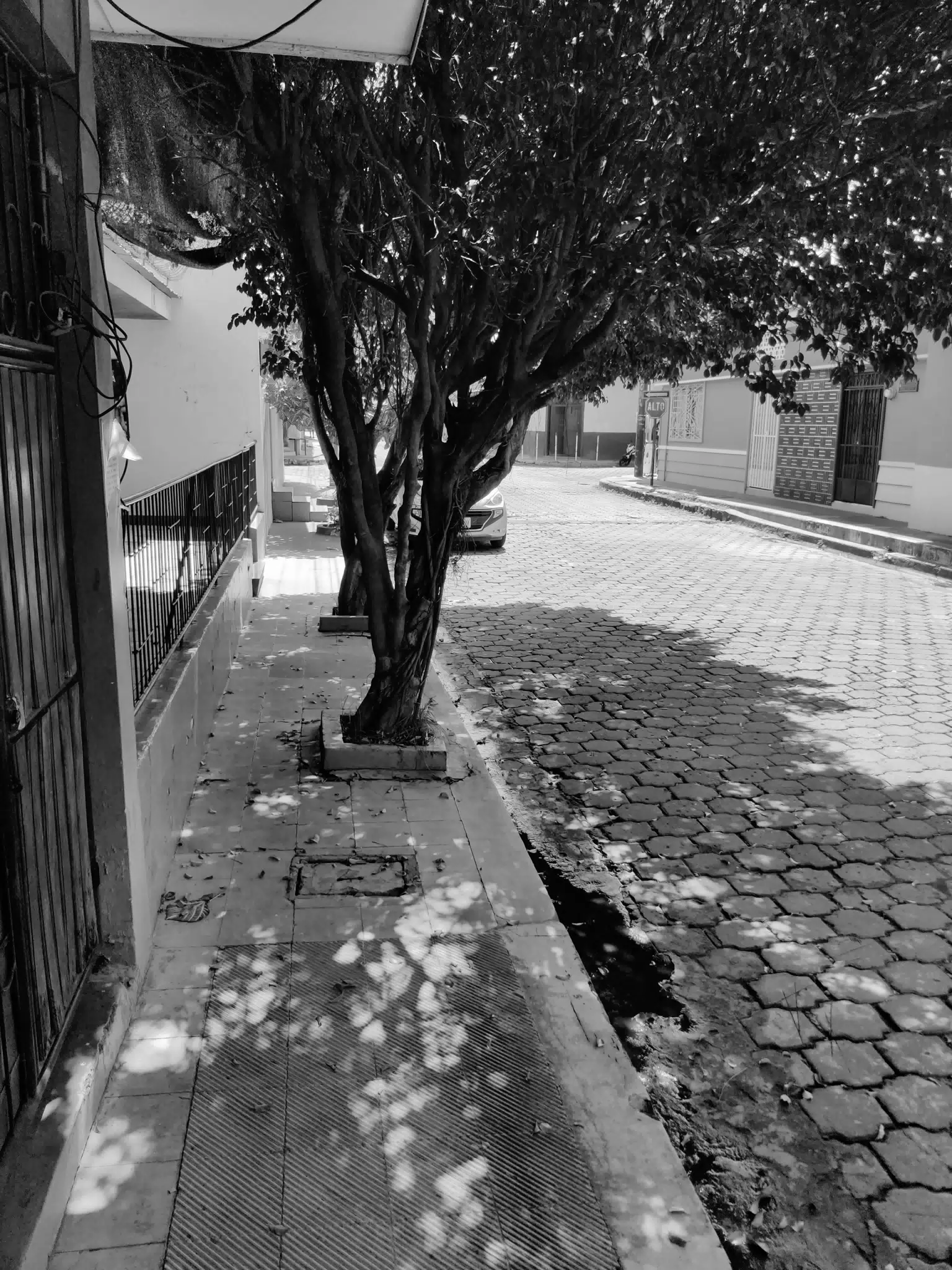 Street in Leon