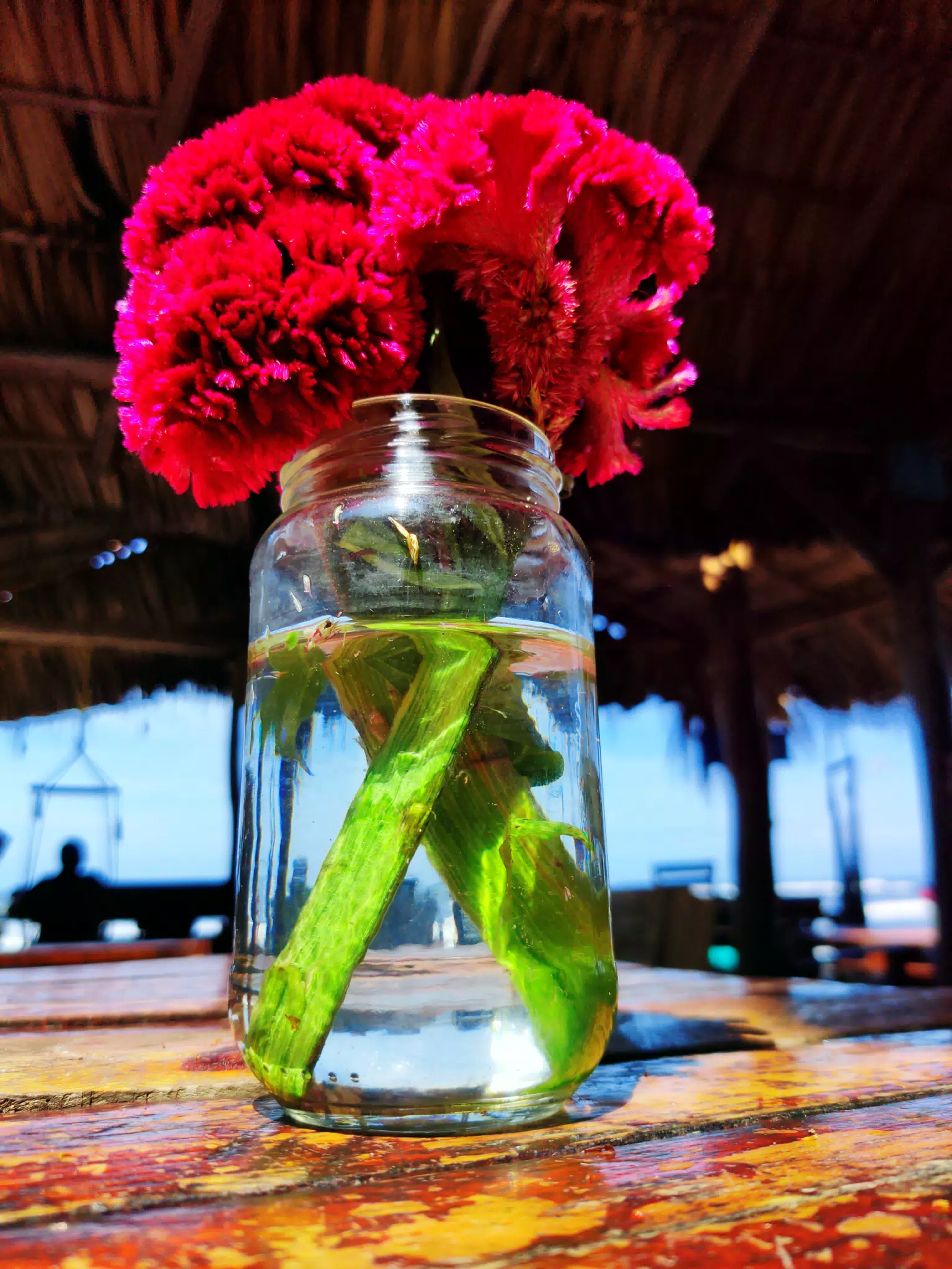 Bright Flowers on Restaurant Table