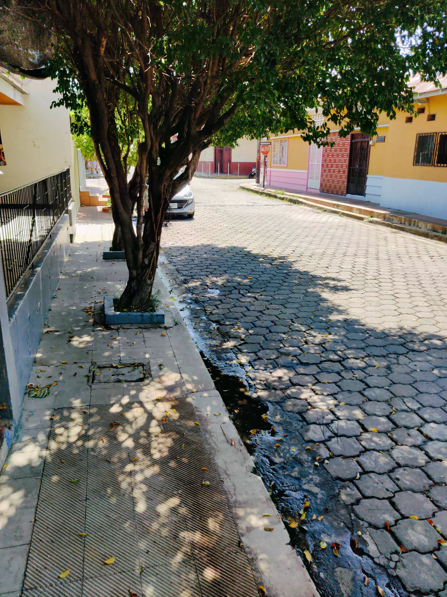 Street in Color in Leon