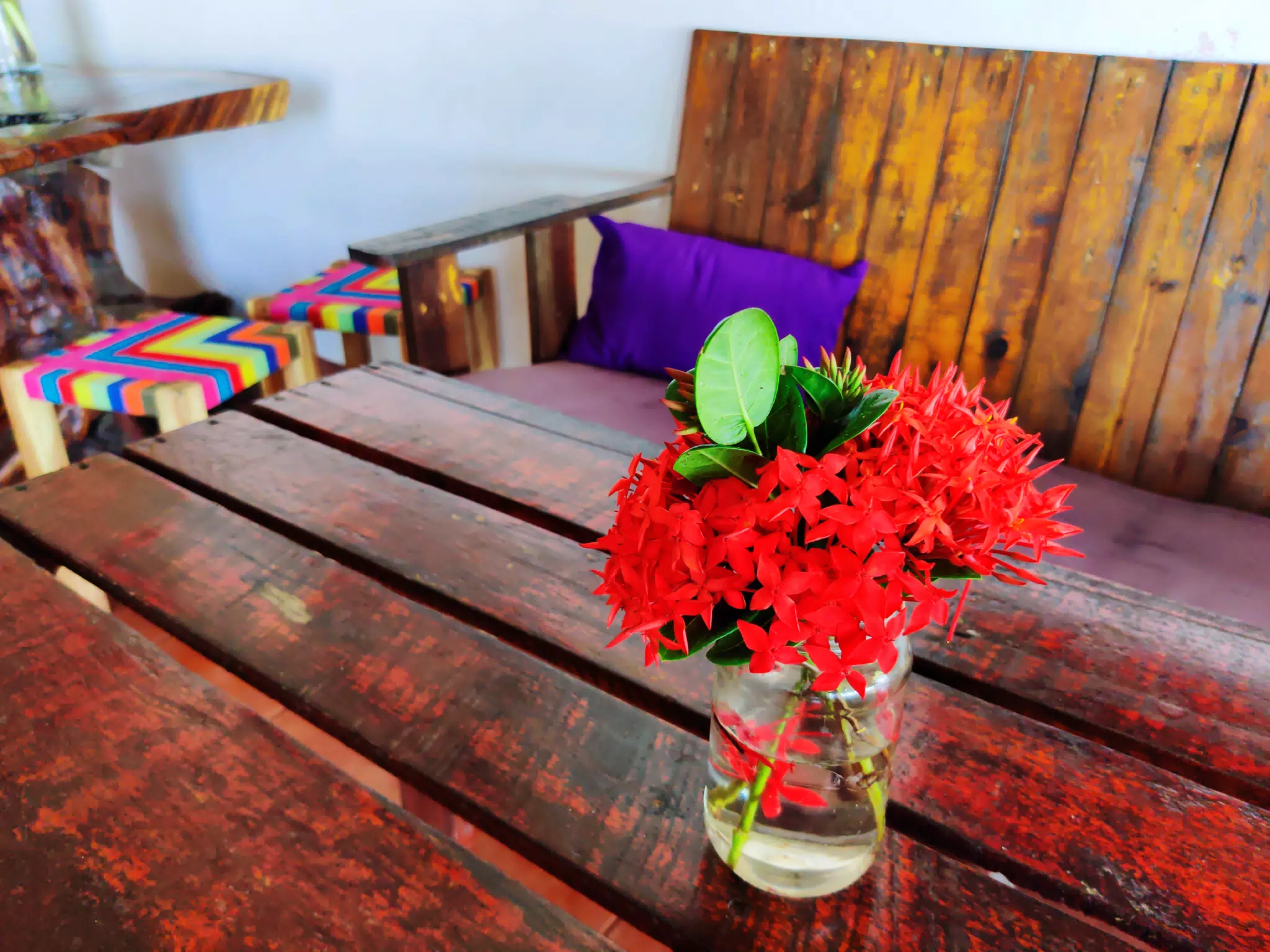 Bright Colorful Red Flowers in Restuarant