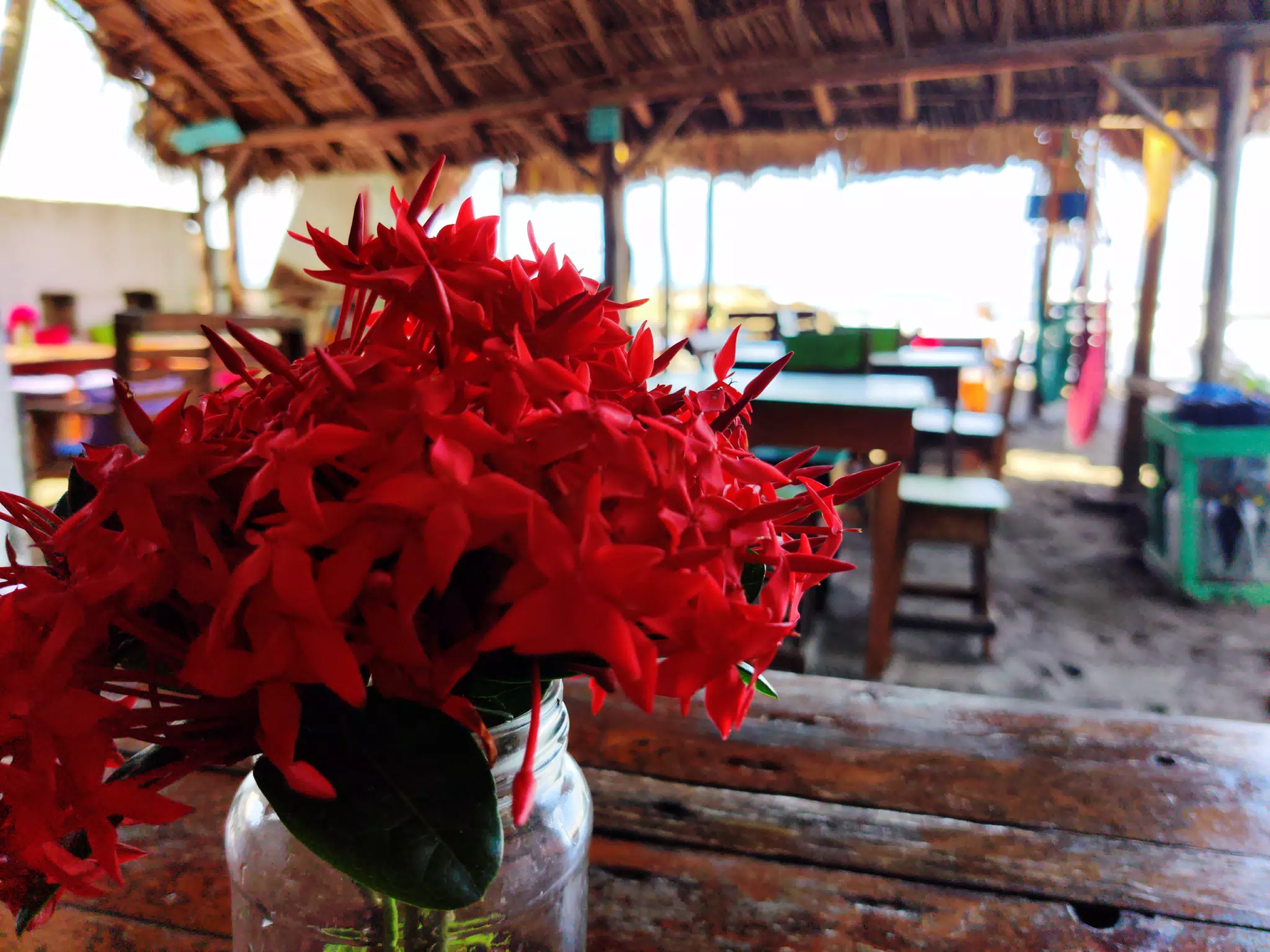 Flowers on Restaurant Table