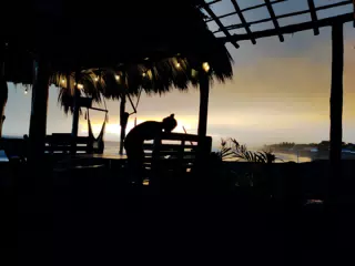 Waitress in Sunset Silouette