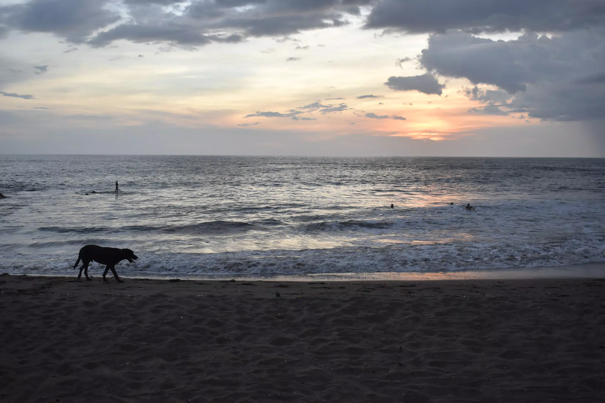 Nikon D3500 Test Shots