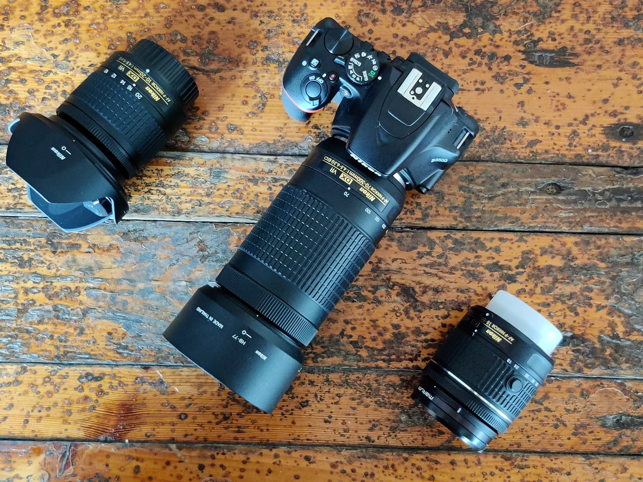 Nikon D3500 and AF-P Lens Family