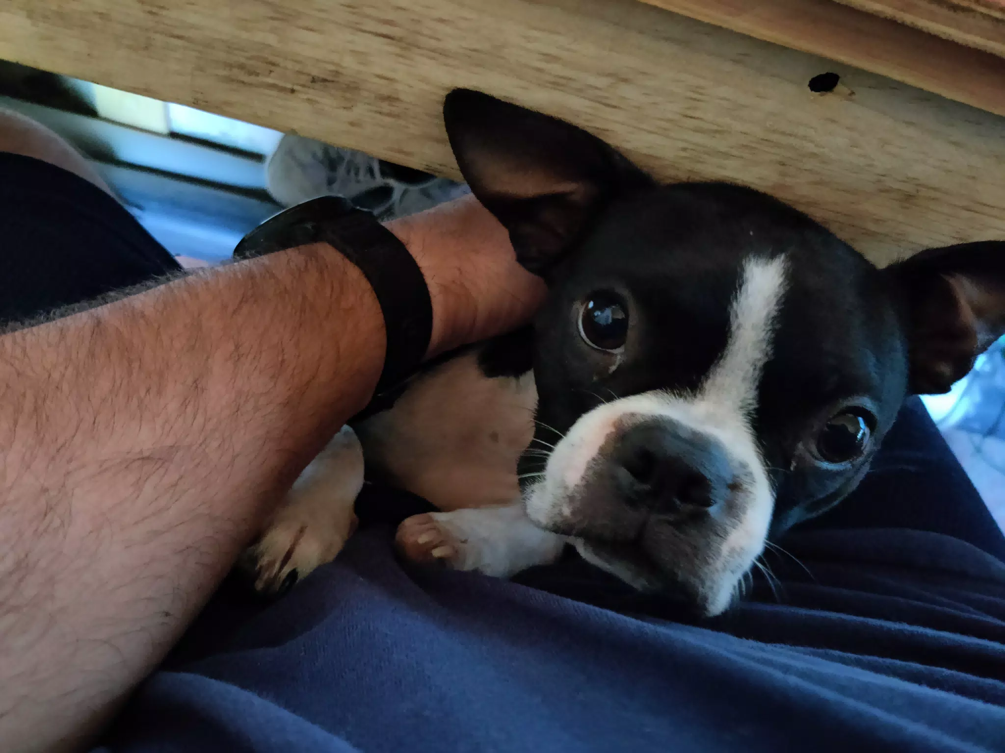 Clive Interrupting Work
