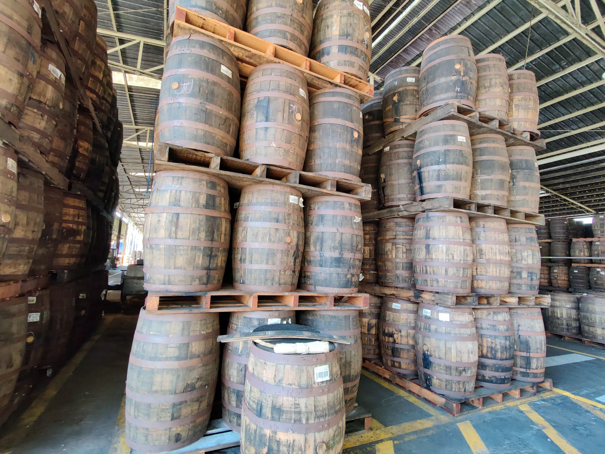 Rum Aging Barrels on the Flor de Caña Tour